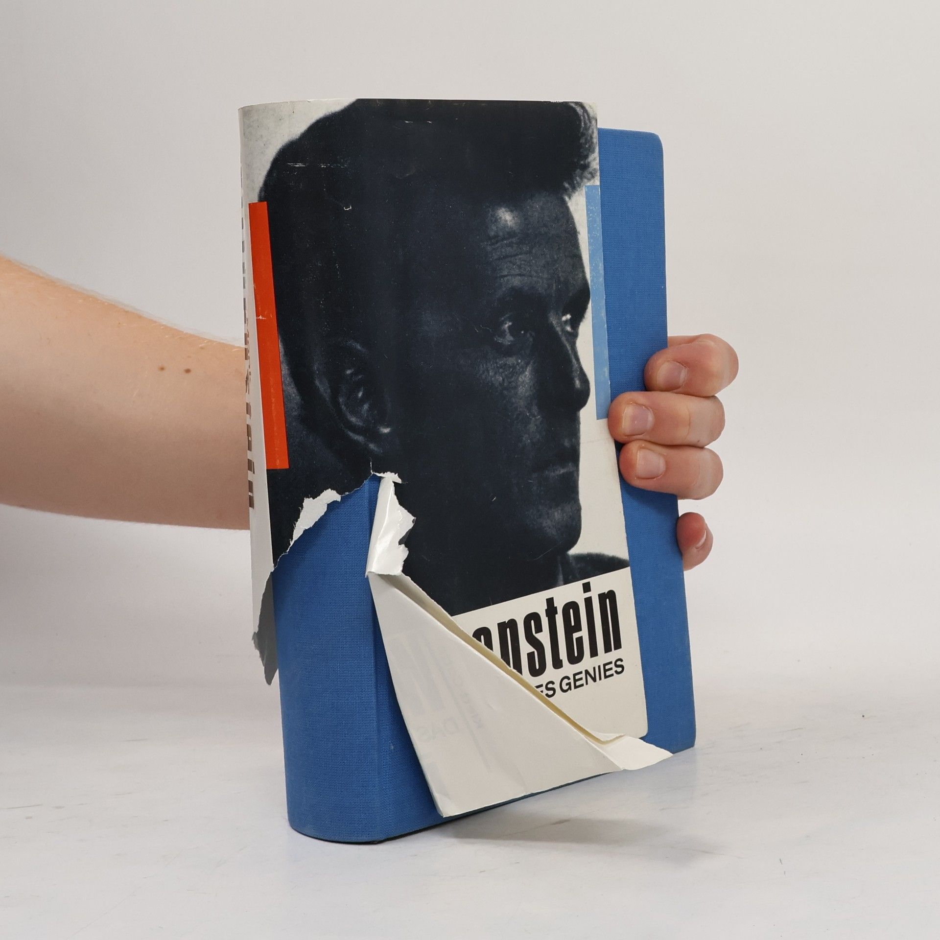 Ray Monk Wittgenstein
