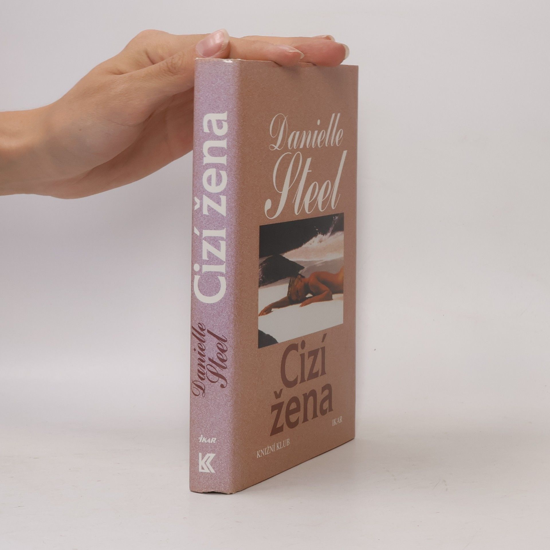 Danielle Steel Cizí žena