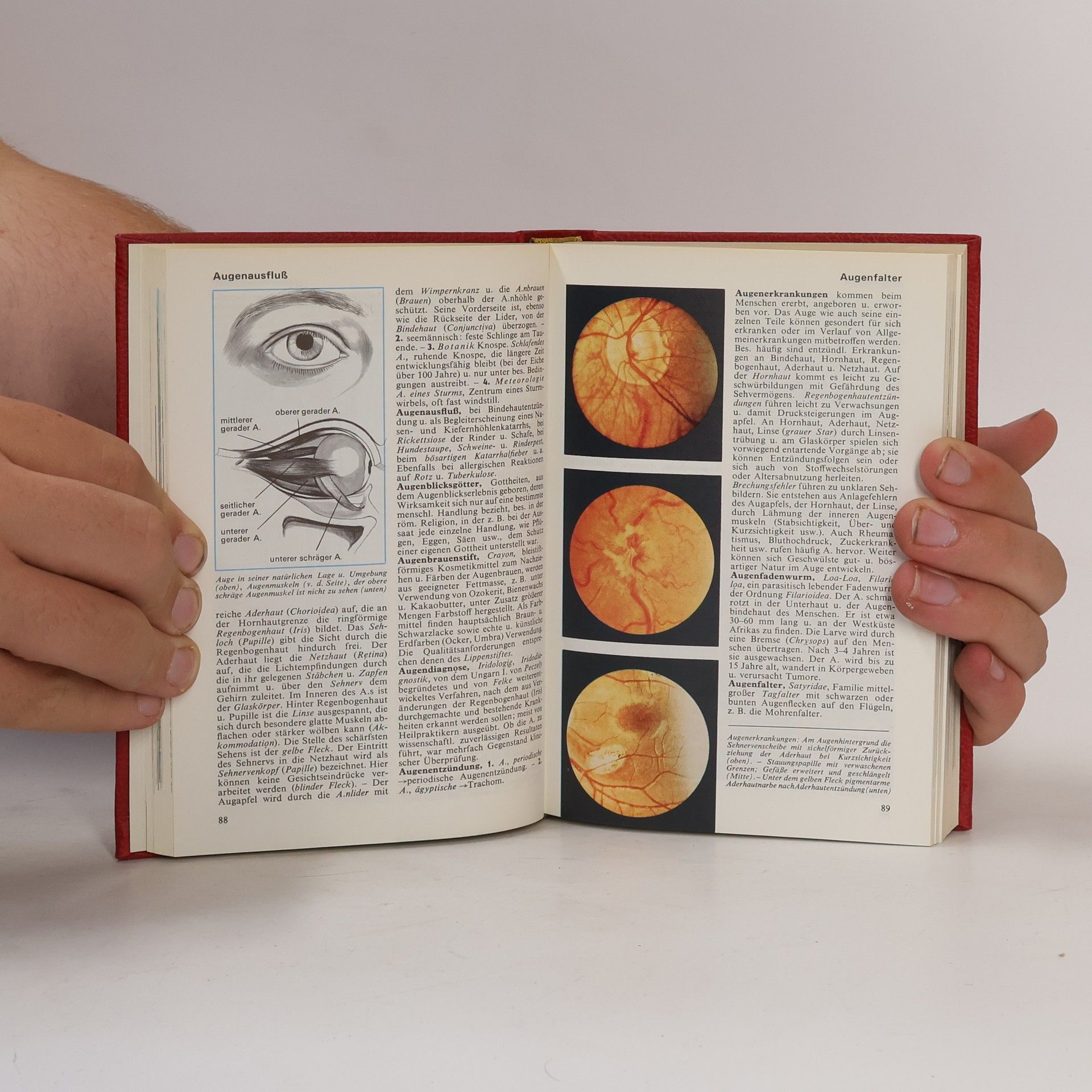 Autorenkollektiv Das moderne Lexikon 2. Aru-Bez