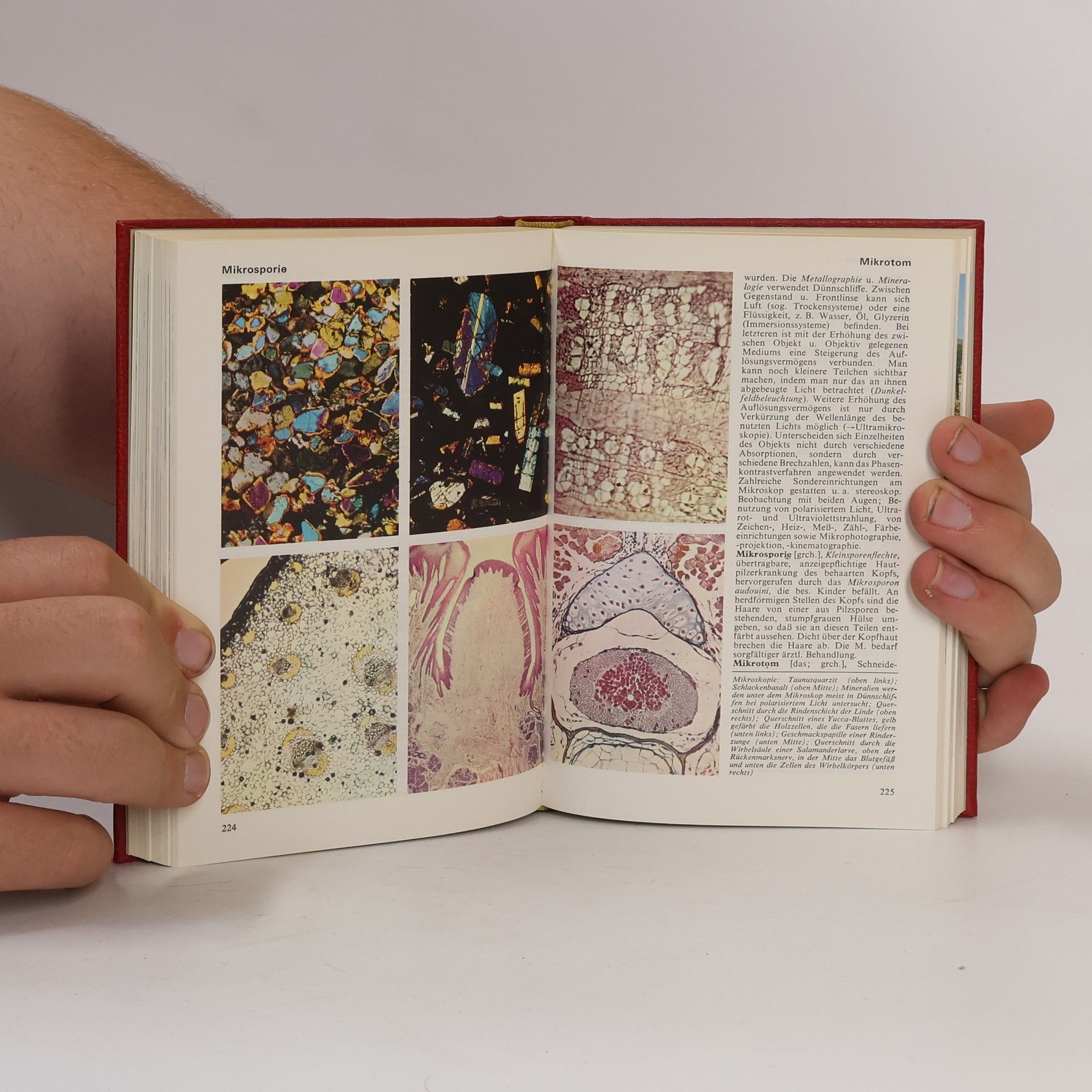 Autorenkollektiv Das moderne Lexikon 12. Mark-Musg
