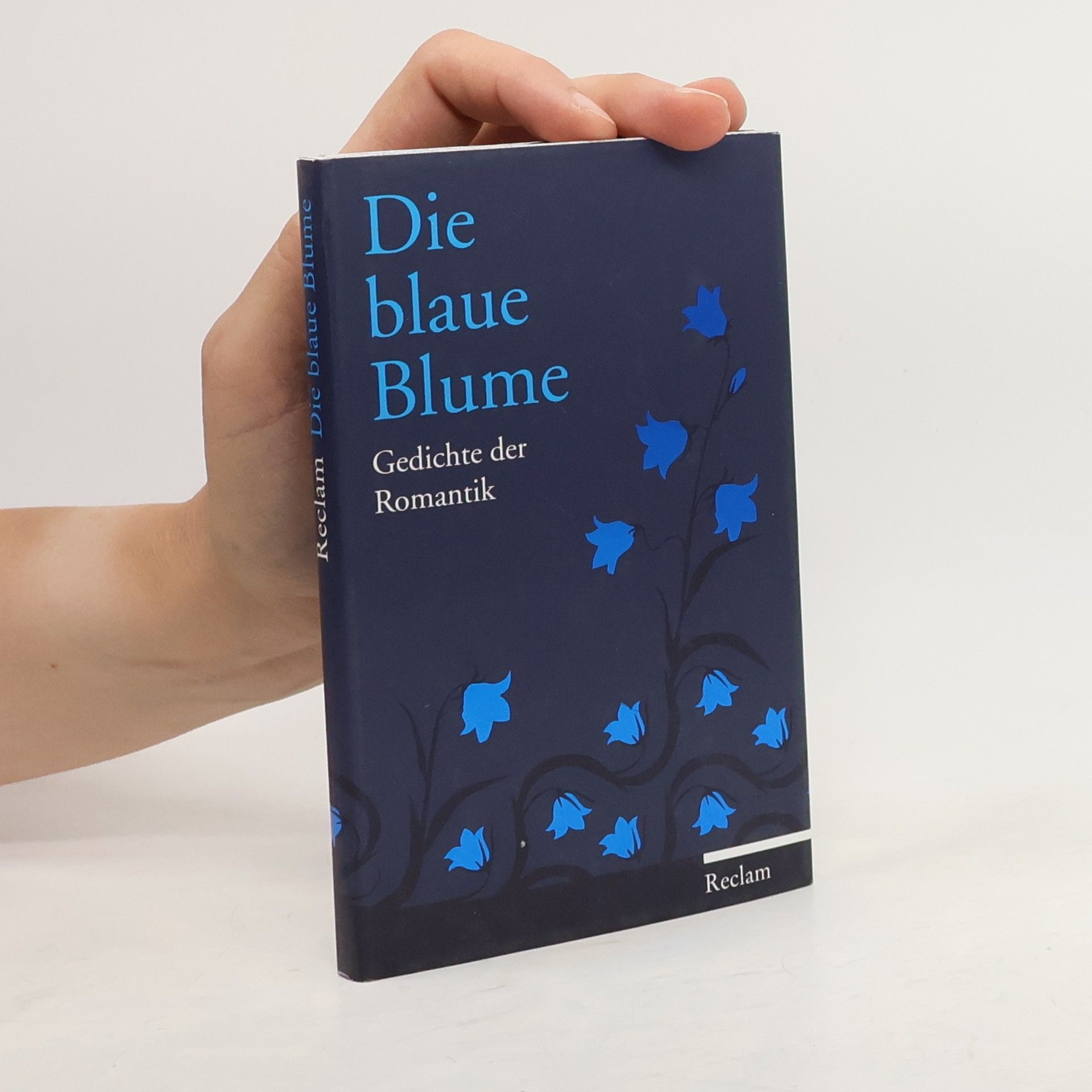 Dietrich Bode Die blaue Blume