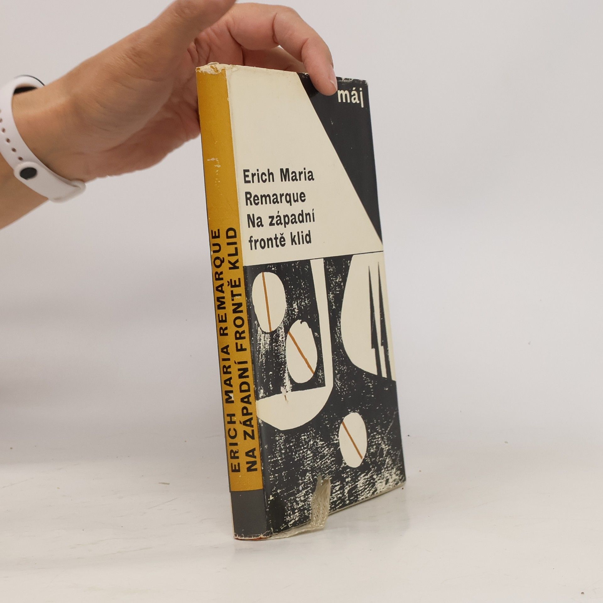 Erich Maria Remarque Na západní frontě klid