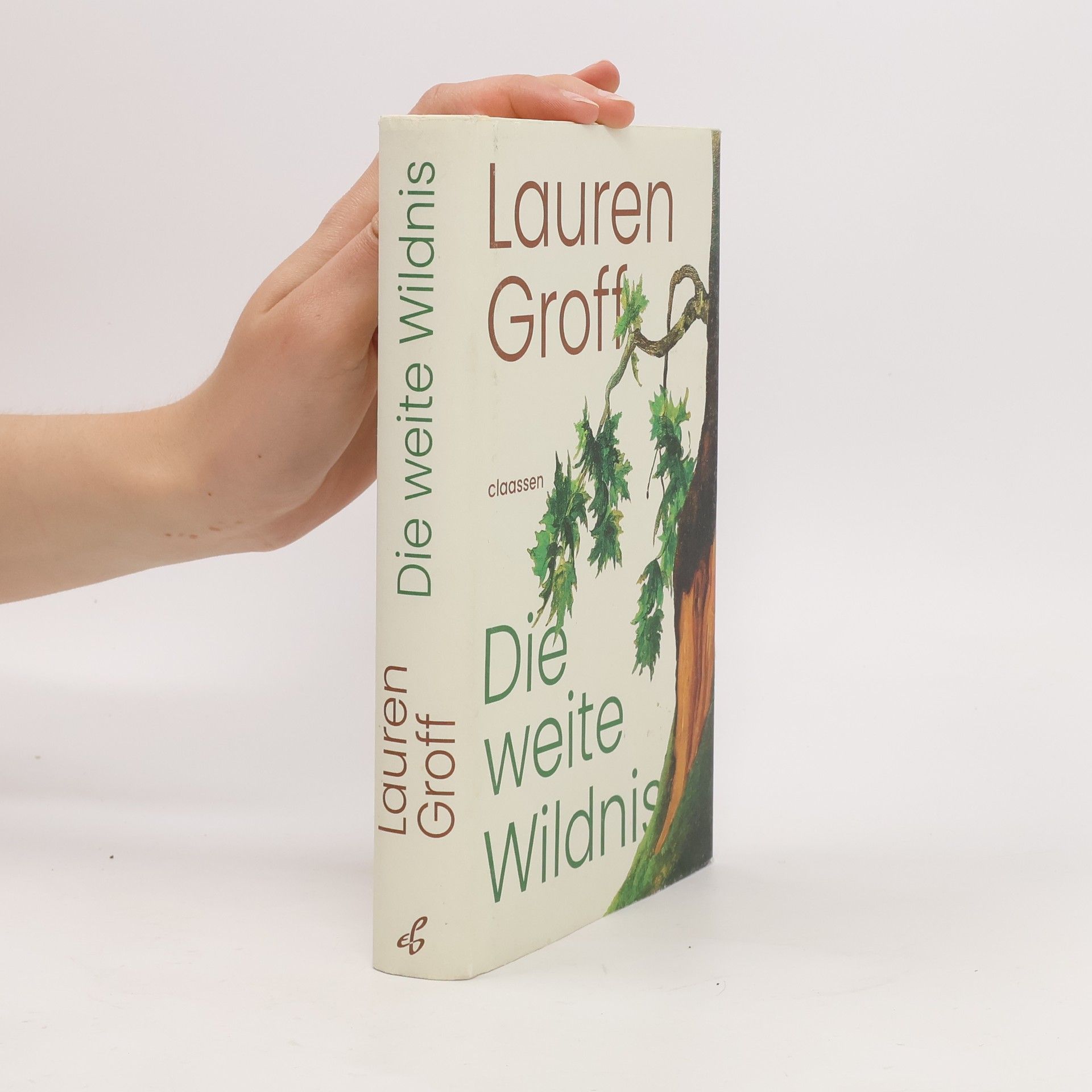 Lauren Groff Die weite Wildnis