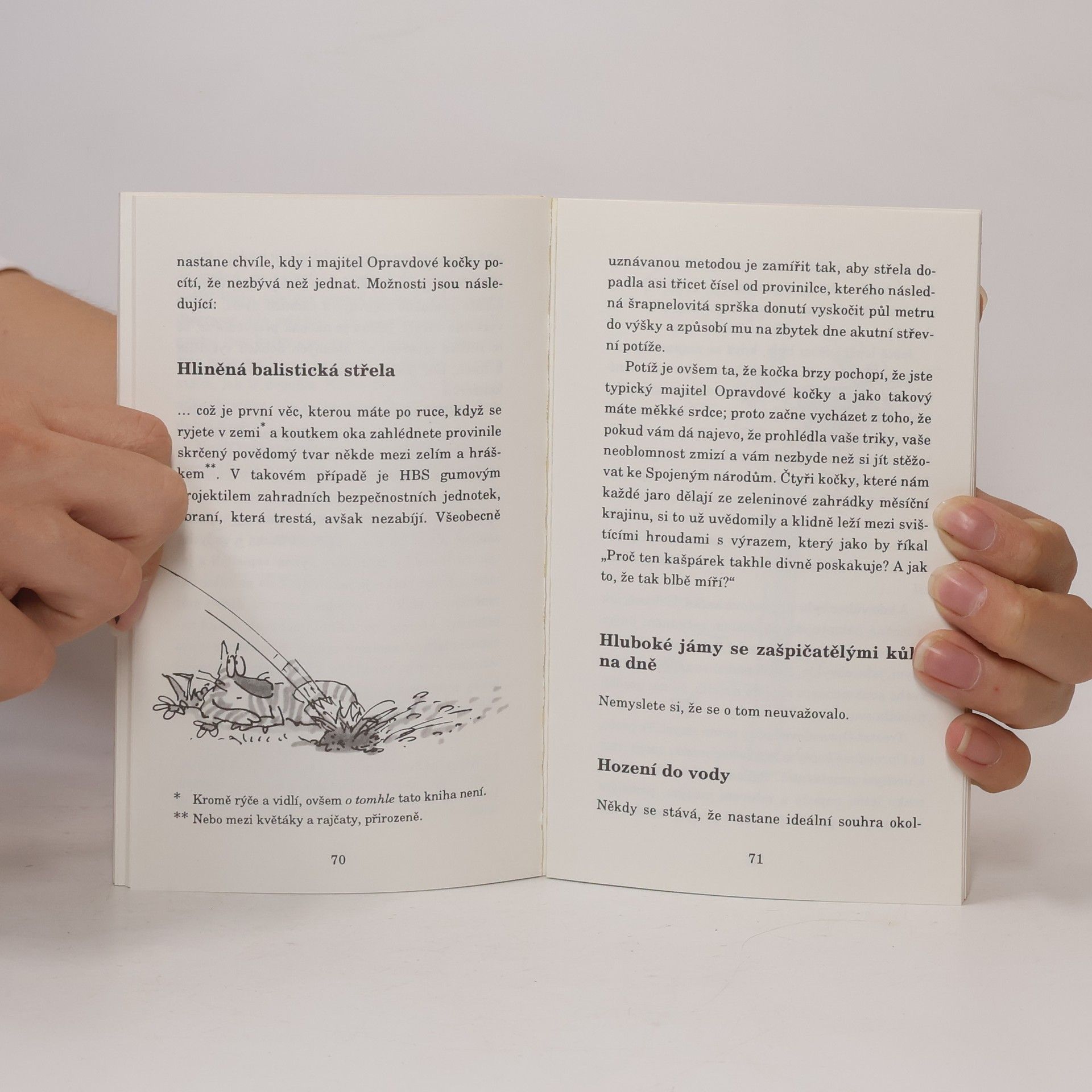 Terry Pratchett Nefalšovaná kočka