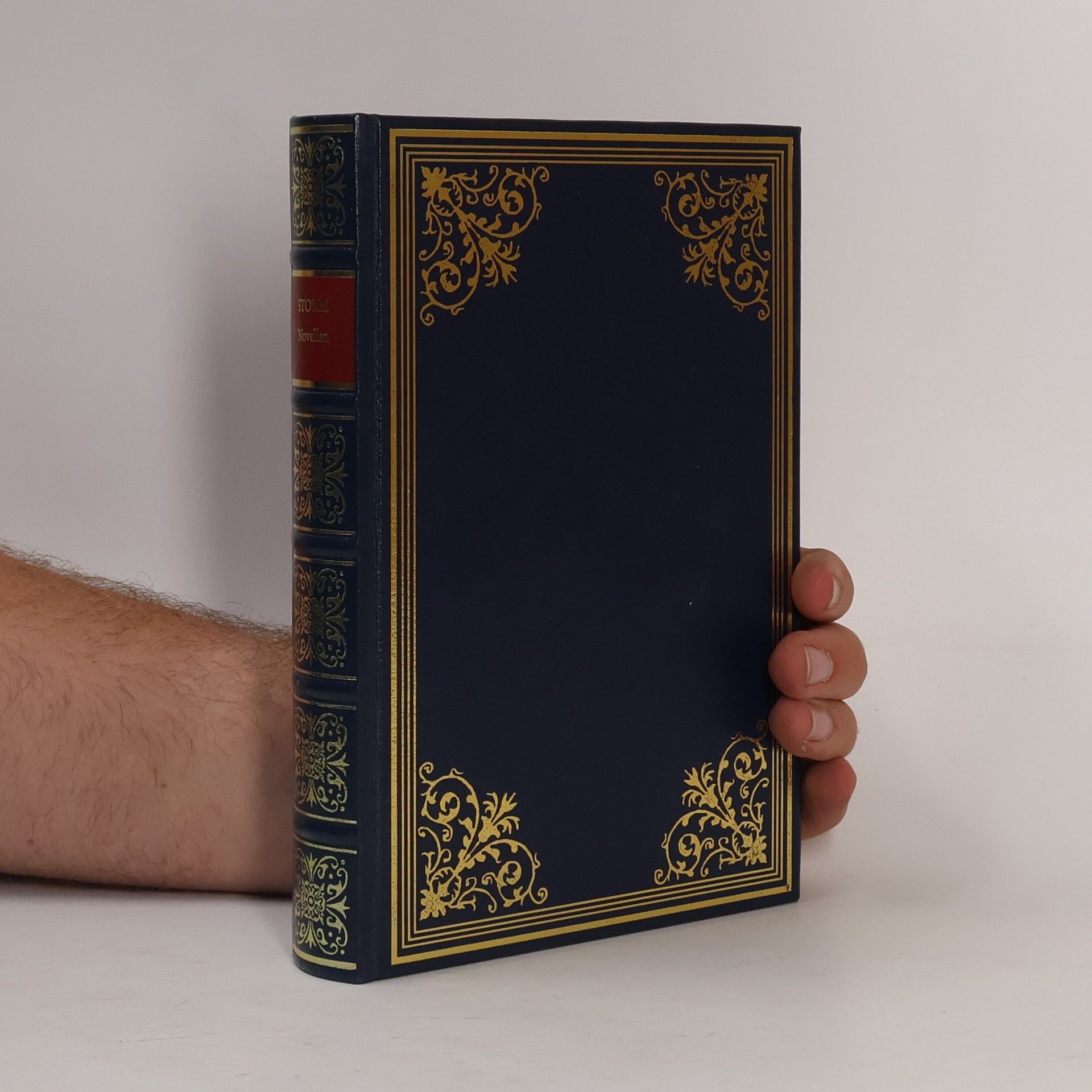 Theodor Storm Novellen