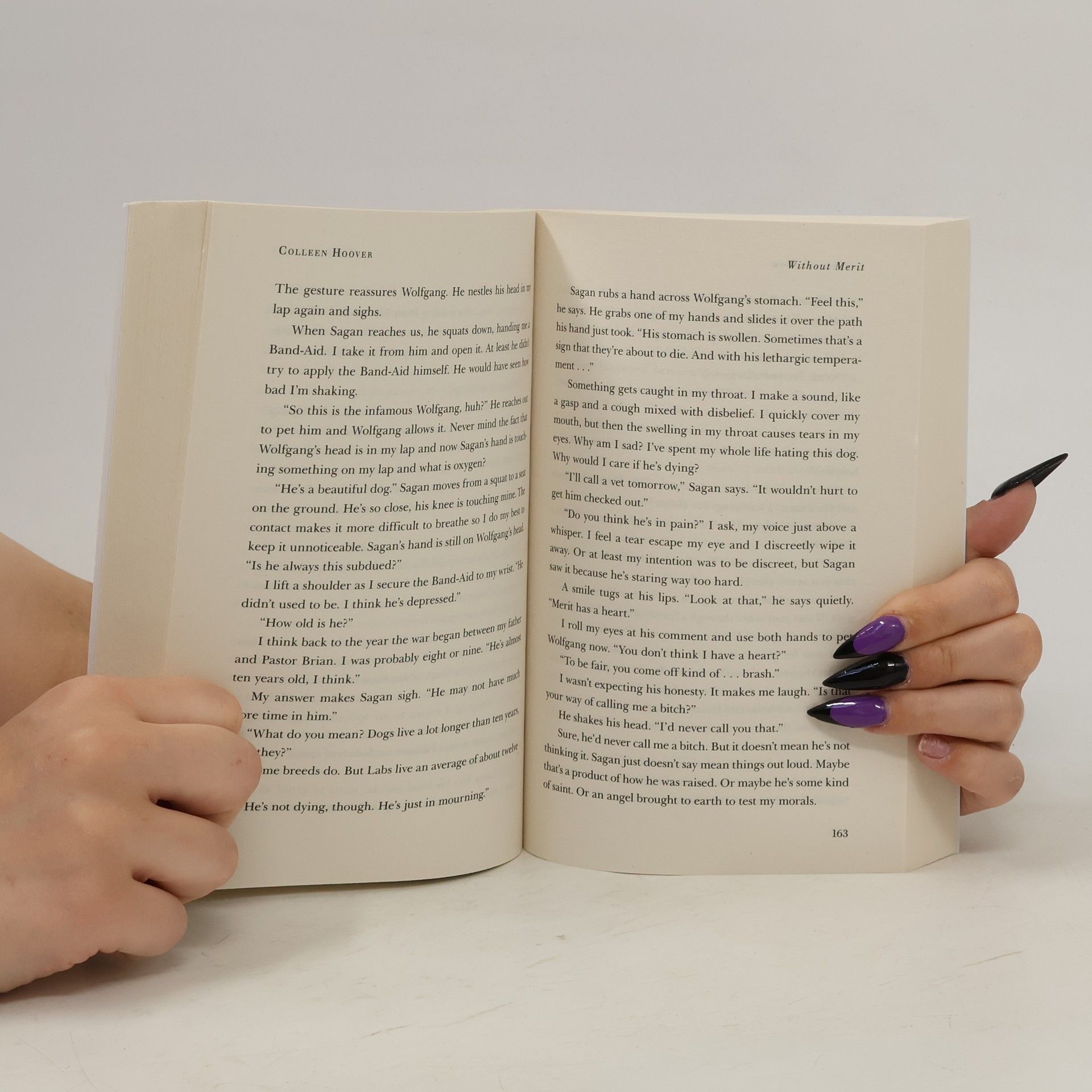 Colleen Hoover Without Merit
