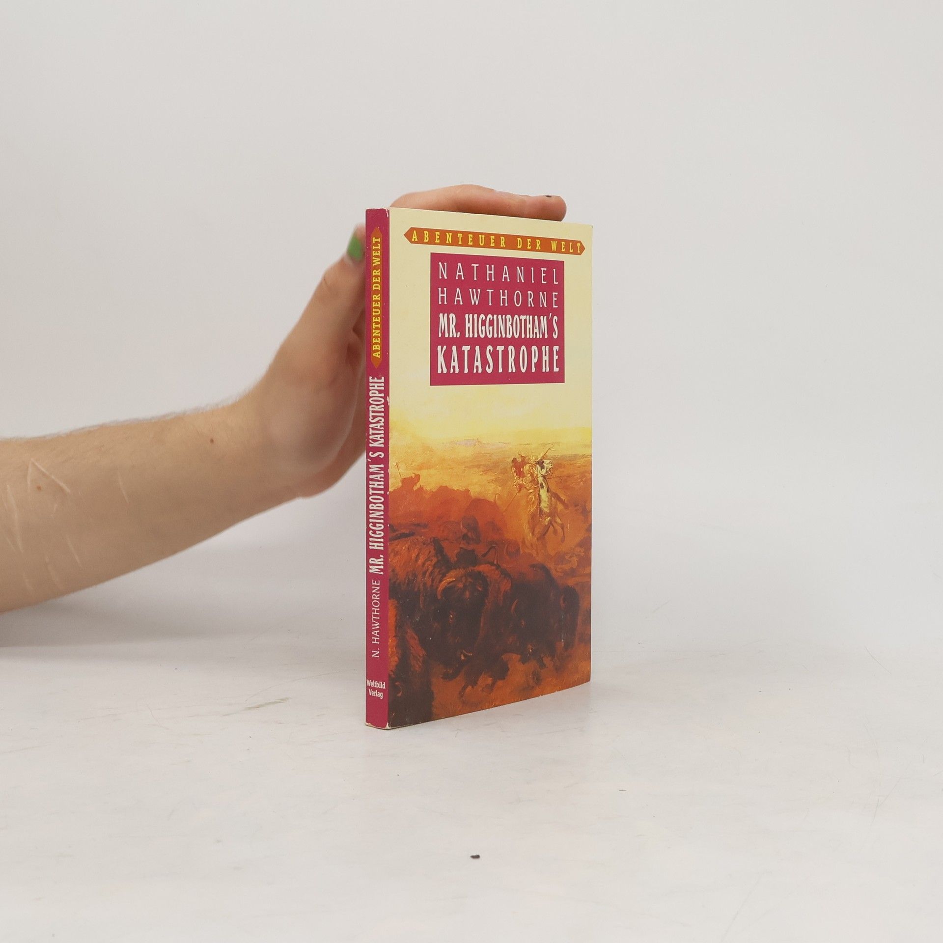 Nathaniel Hawthorne Mr. Higginbotham´s Katastrophe