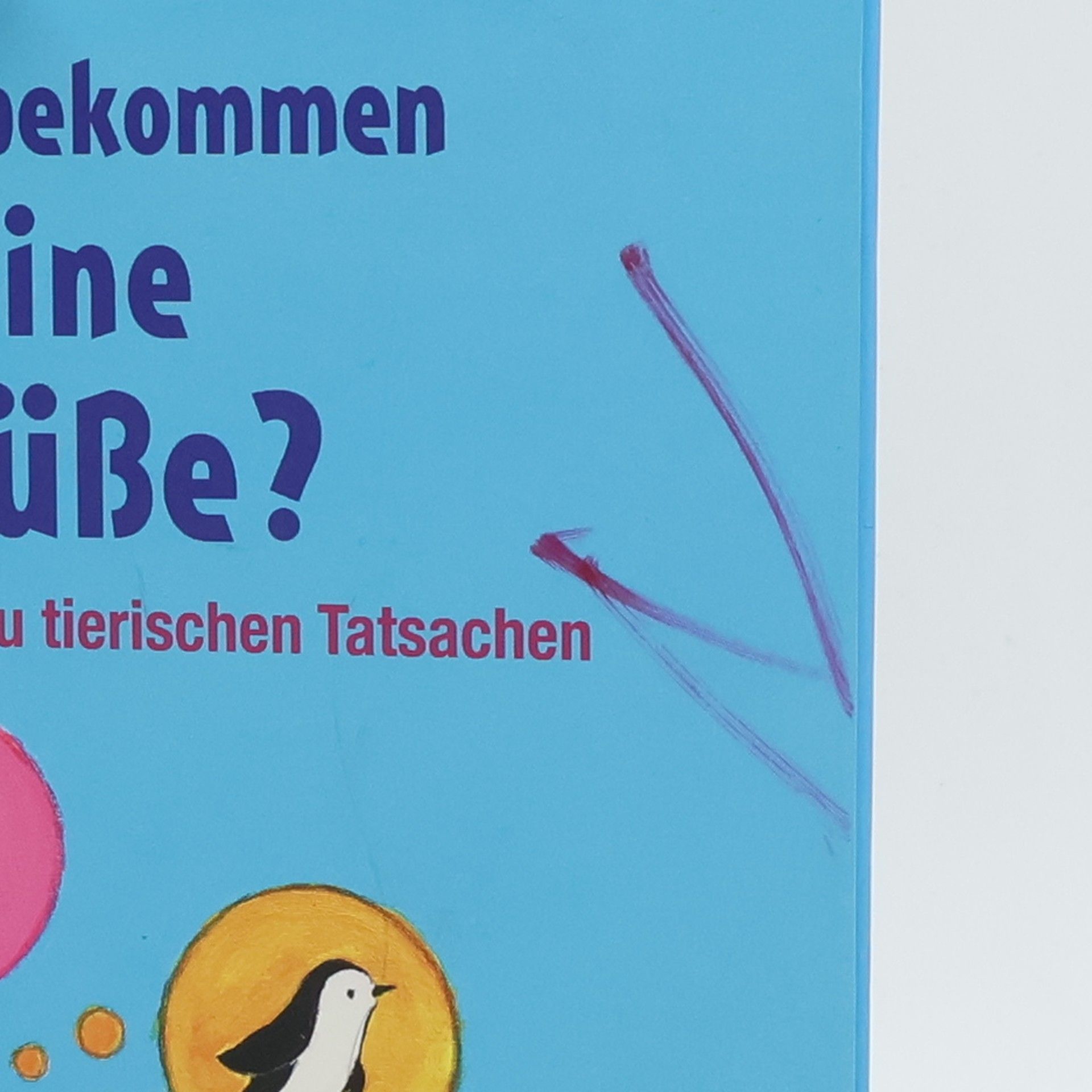 Petra Maria Schmitt Warum bekommen Pinguine keine kalten Füße?