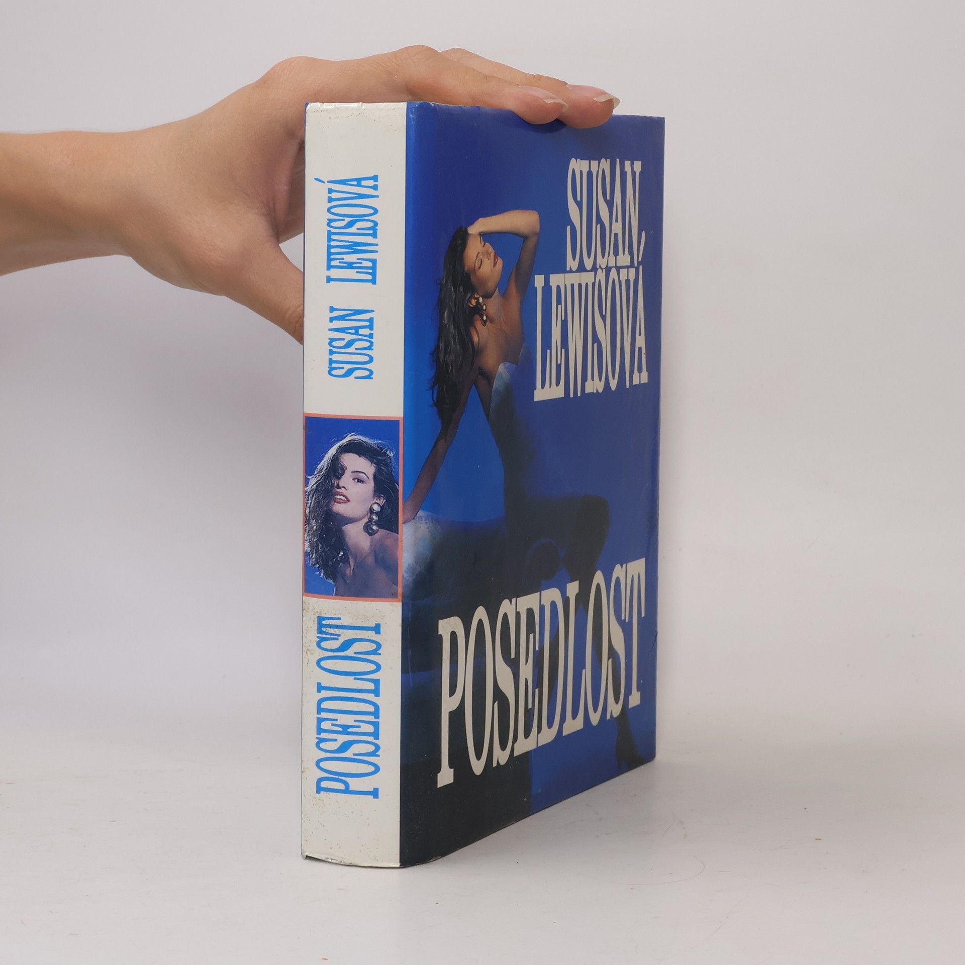 Susan Lewis Posedlost