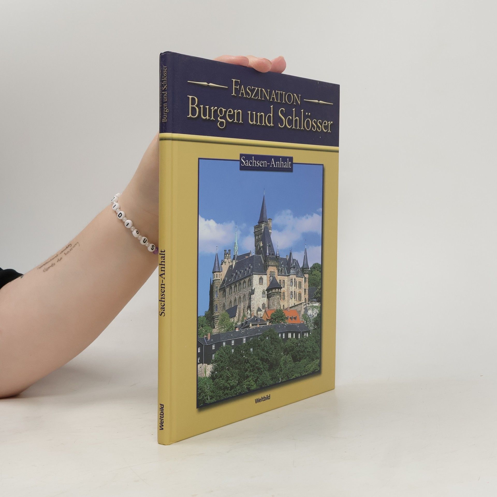 Autorenkollektiv Faszination Burgen und Schlösser. Sachsen-Anhalt