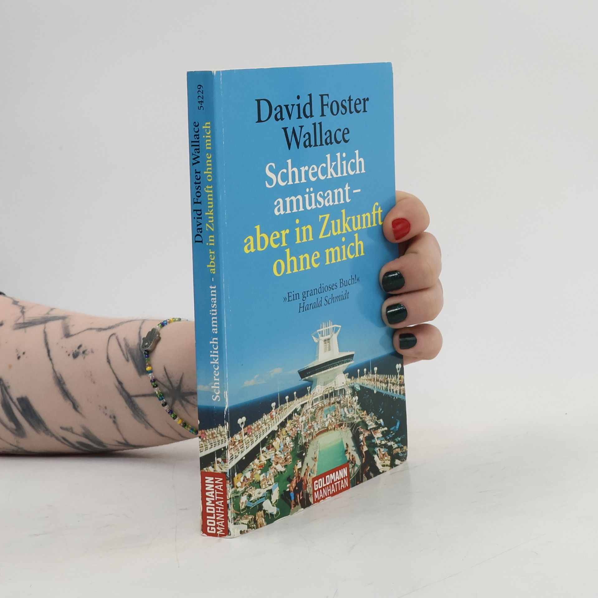David Foster Wallace Schrecklich amüsant - aber in Zukunft ohne mich
