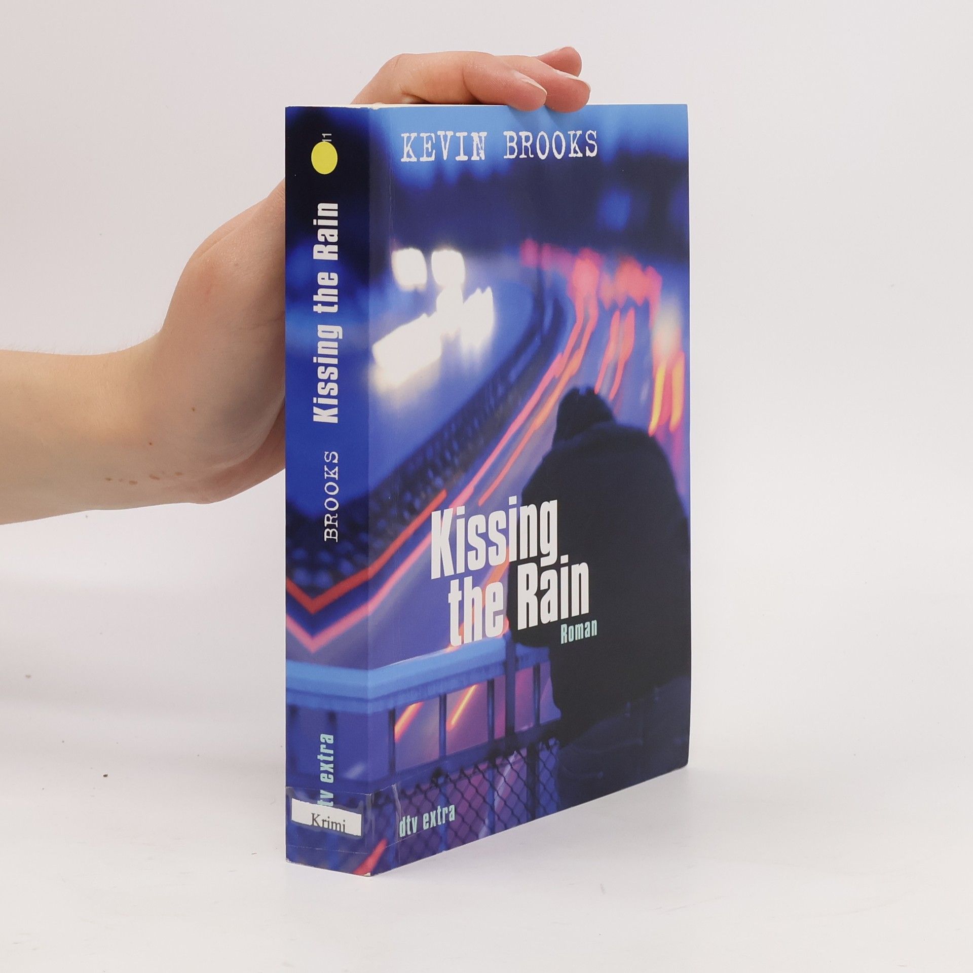 Kevin Brooks Kissing the Rain