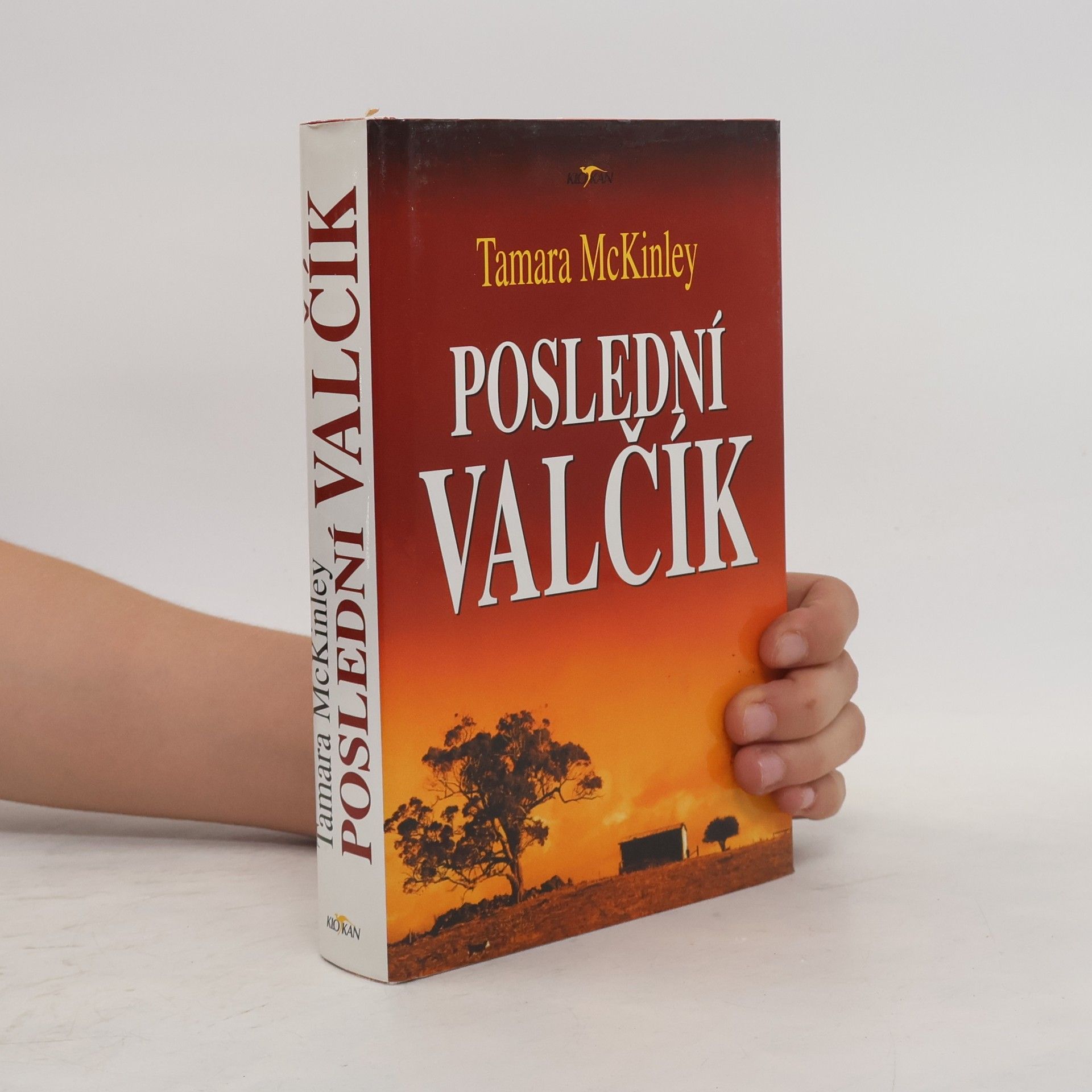 Tamara McKinley Poslední valčík