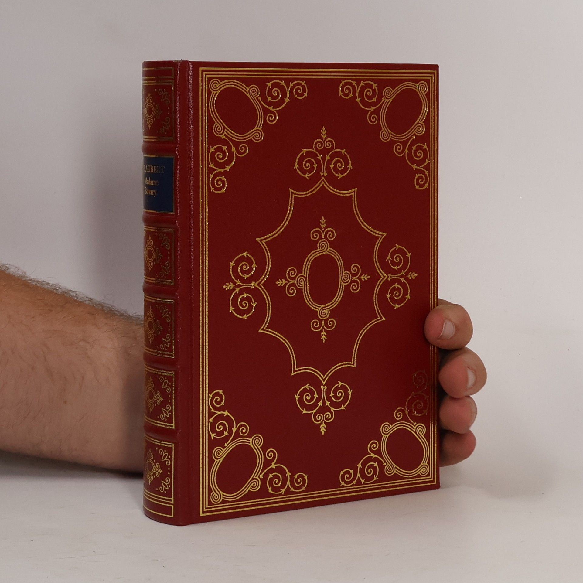 Gustave Flaubert Madame Bovary