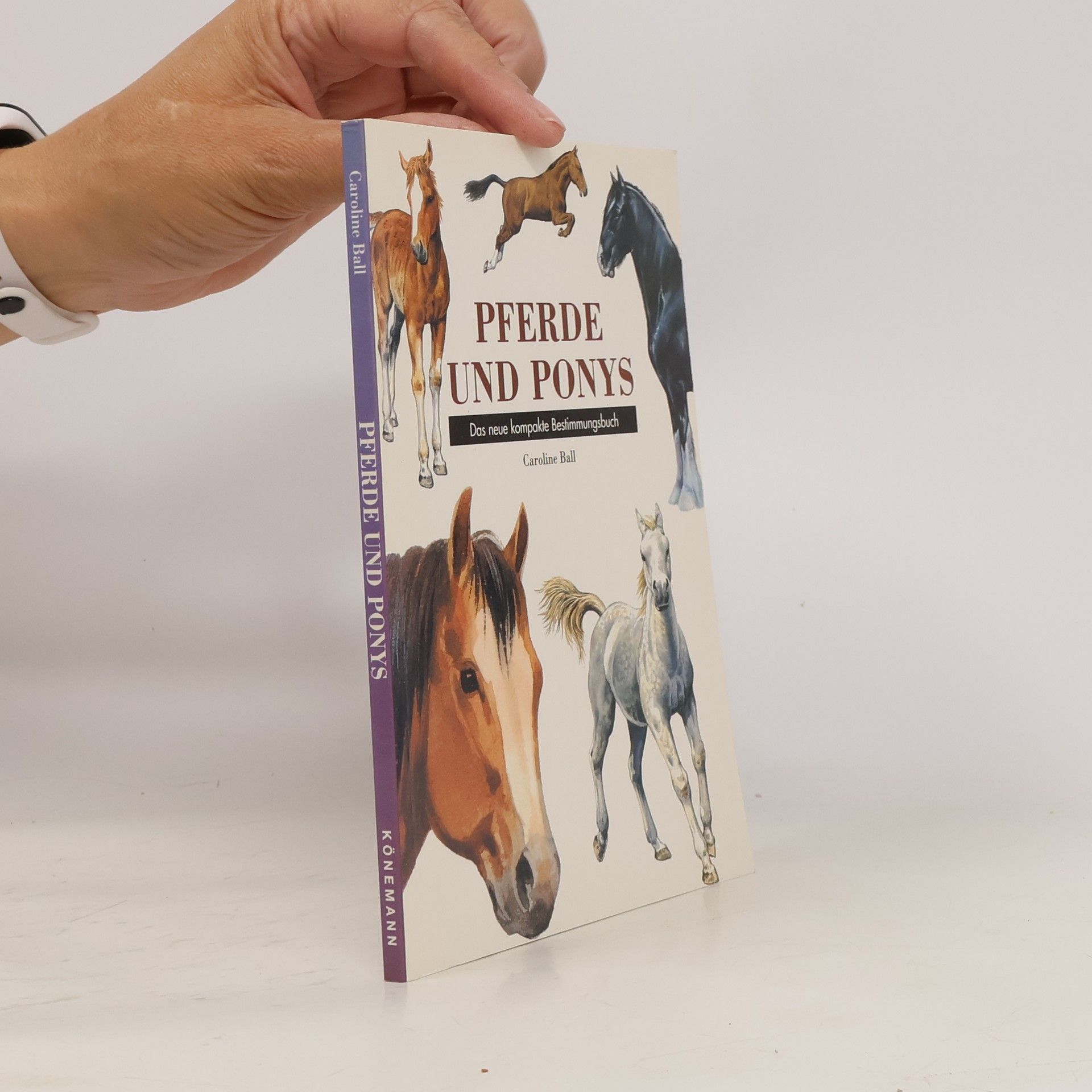 Caroline Ball Pferde und Ponys