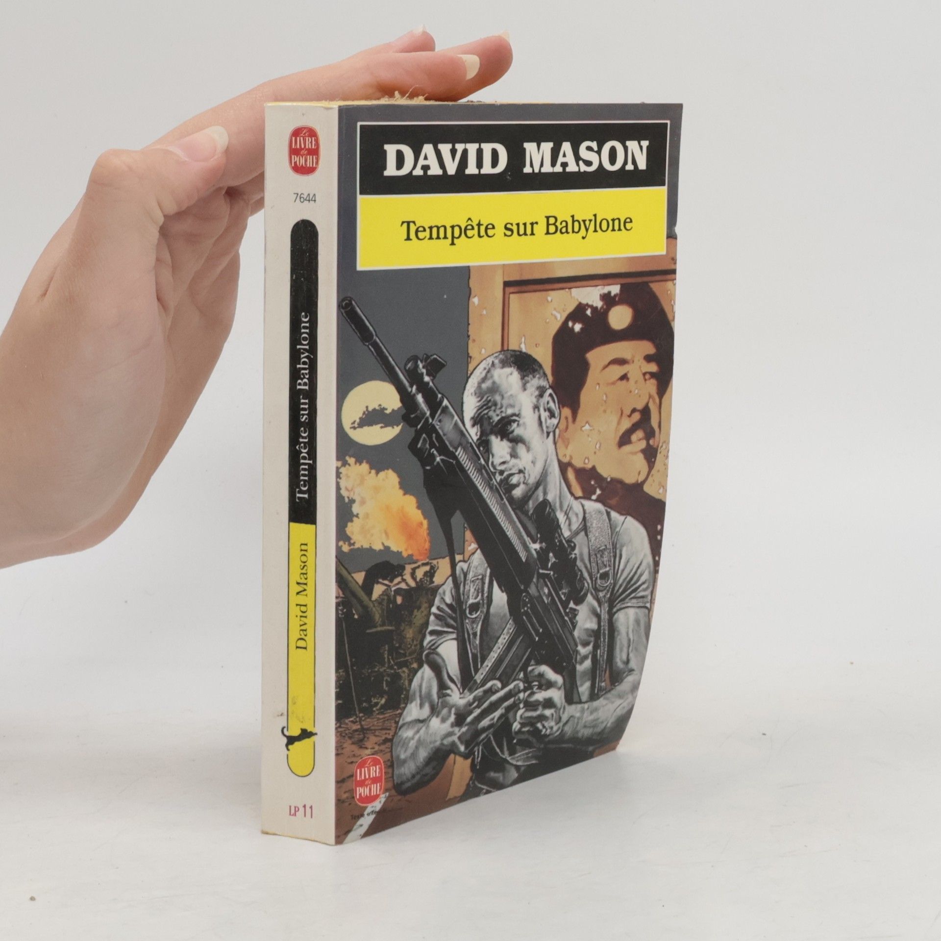 David Mason Tempête sur Babylone