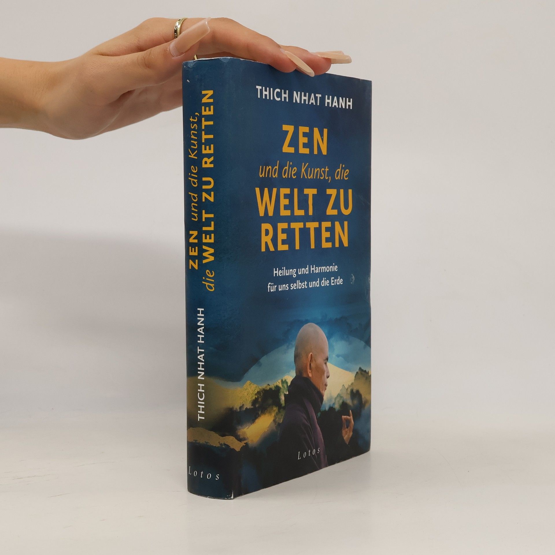 Zen und die Kunst, die Welt zu retten