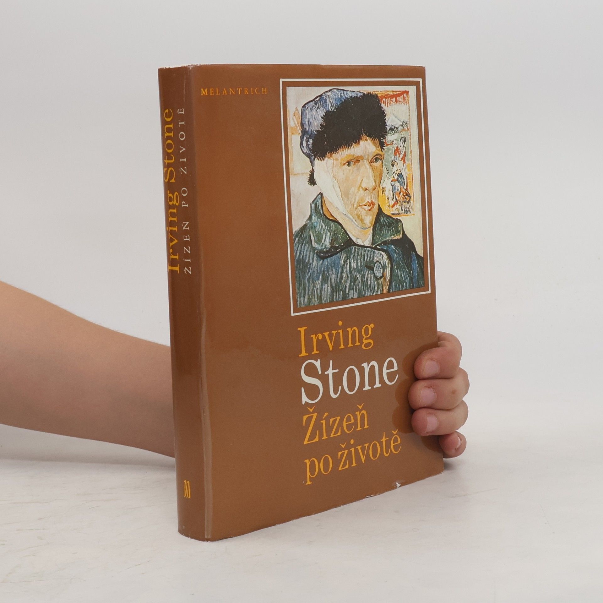 Irving Stone Žízeň po životě