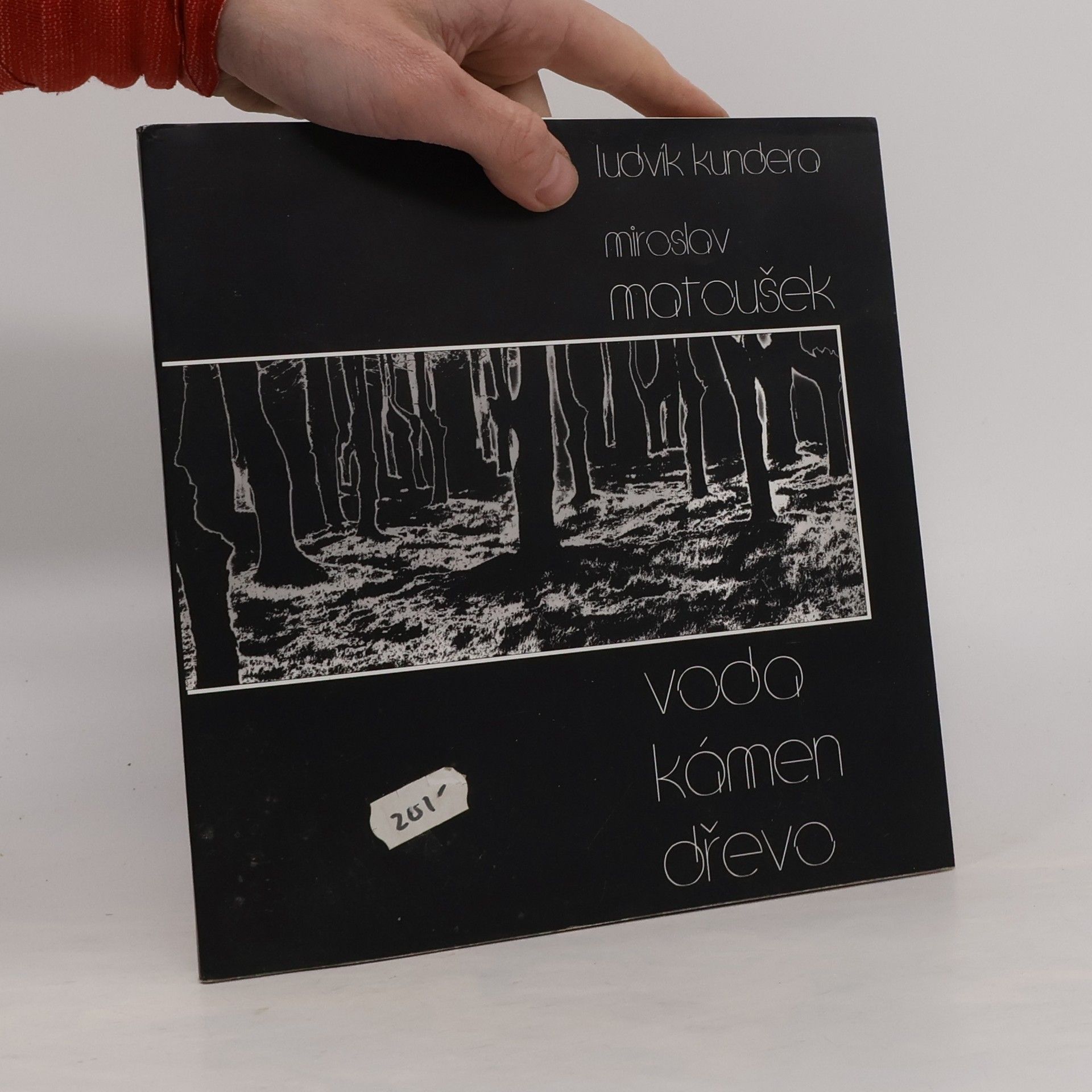 Ludvík Kundera Miroslav Matoušek. Voda, kámen, dřevo