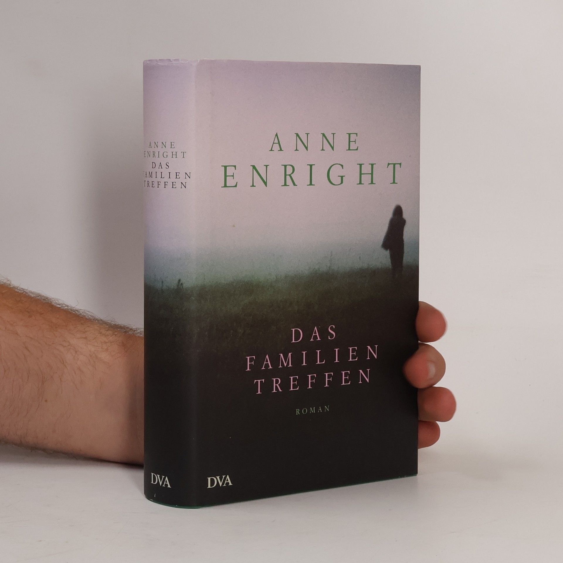 Anne Enright Das Familientreffen