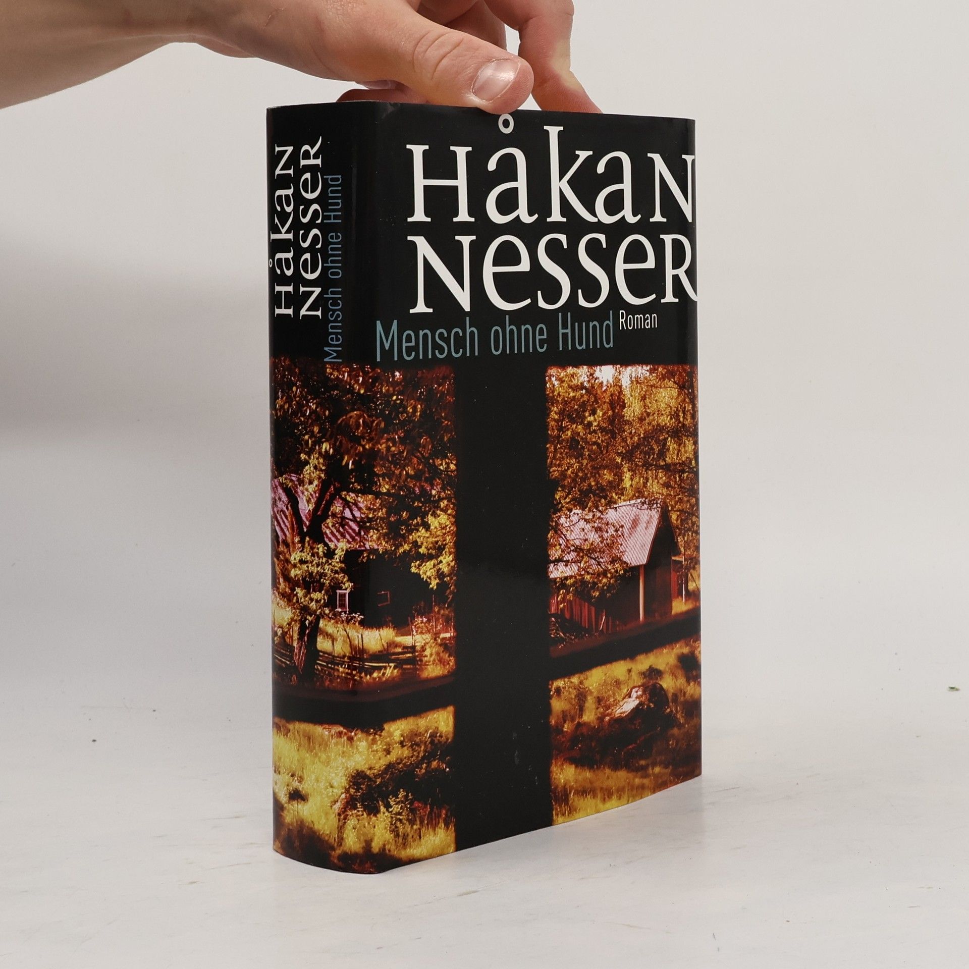 Håkan Nesser Mensch ohne Hund