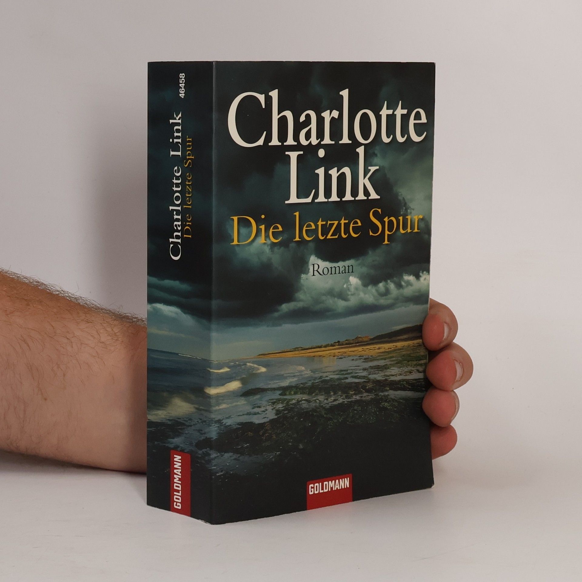 Charlotte Link Die letzte Spur