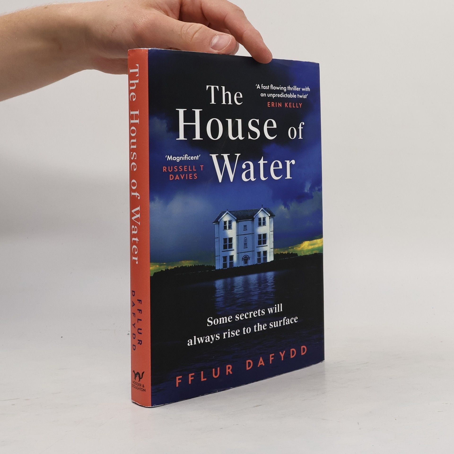 Fflur Dafydd The House of Water
