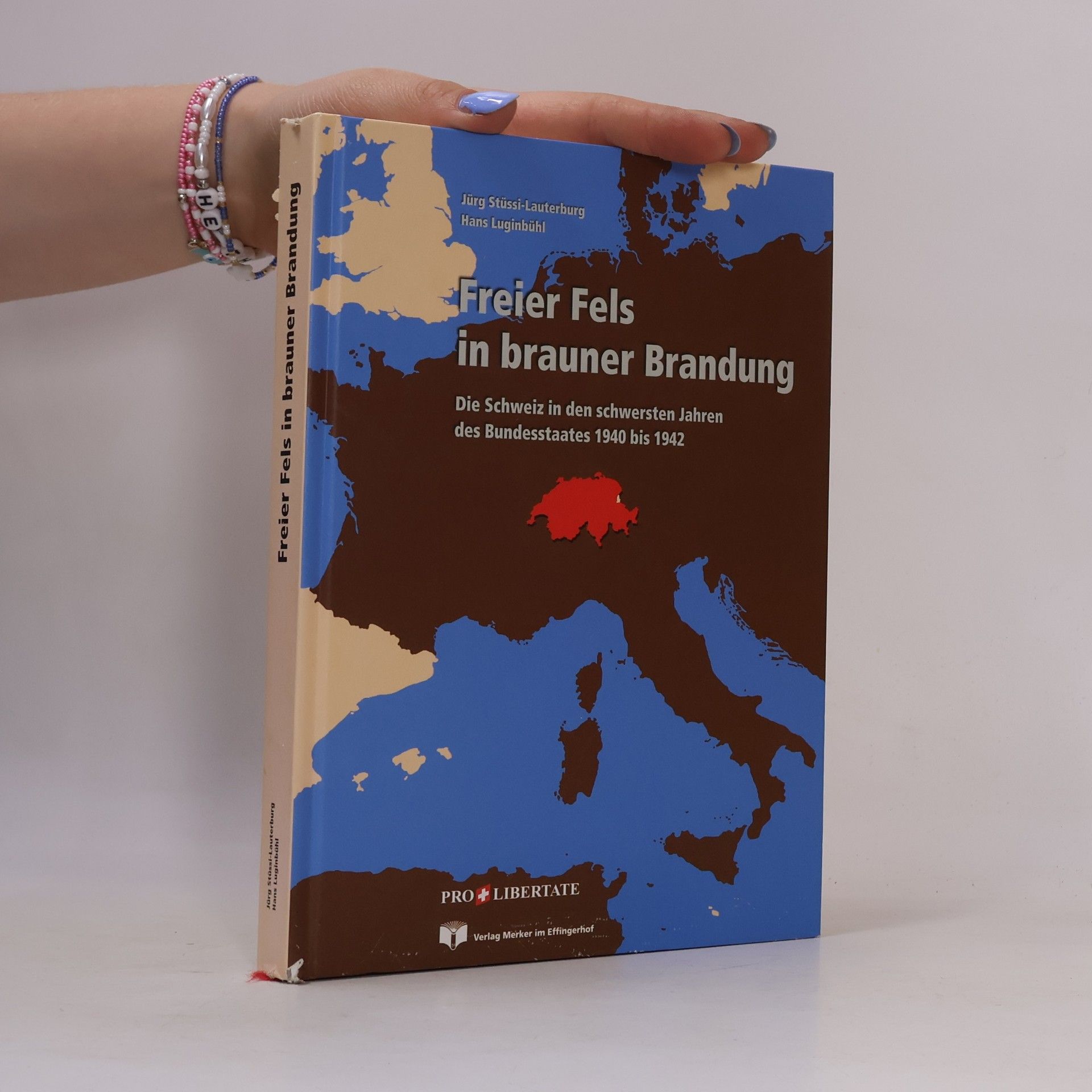 Freier Fels in brauner Brandung