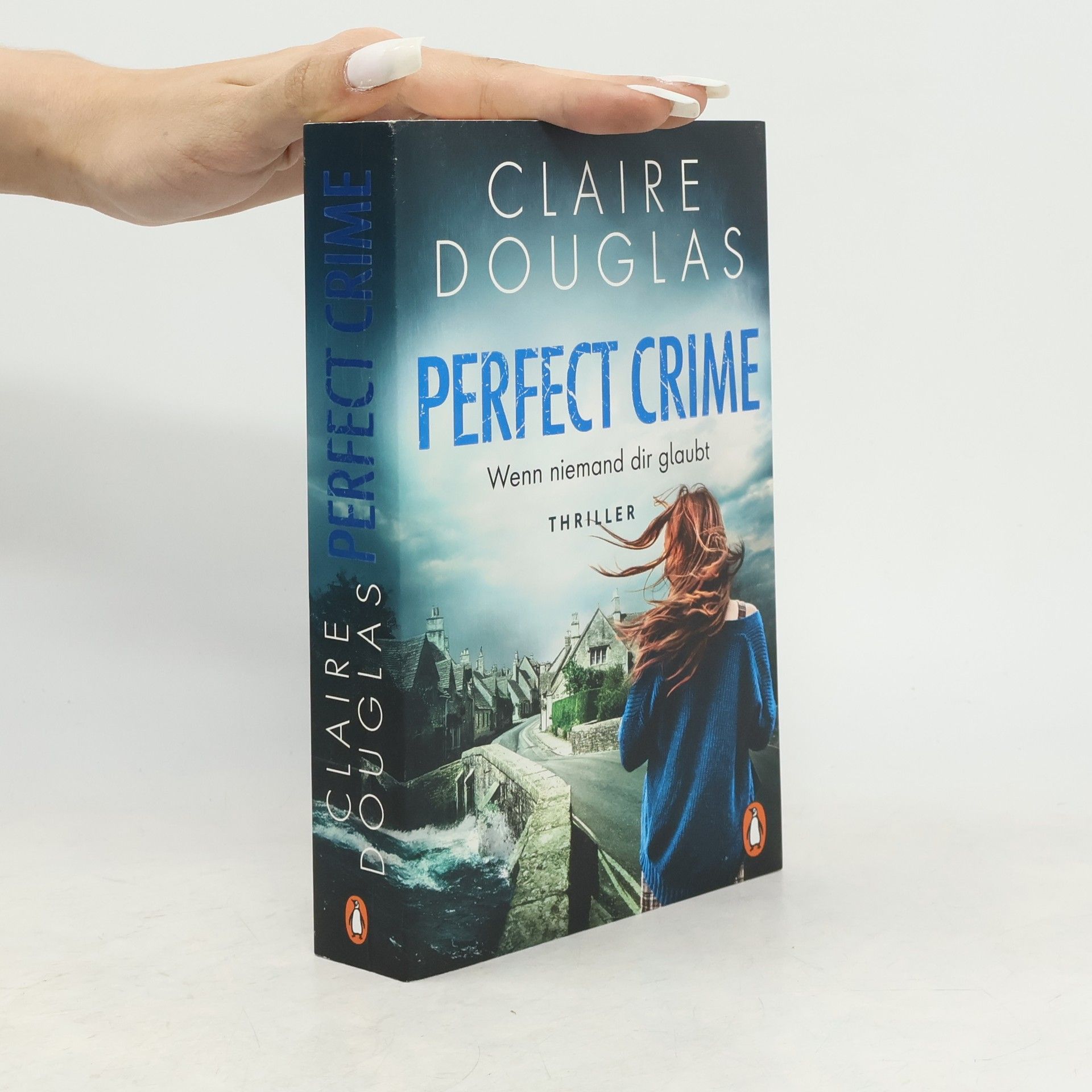 Perfect Crime