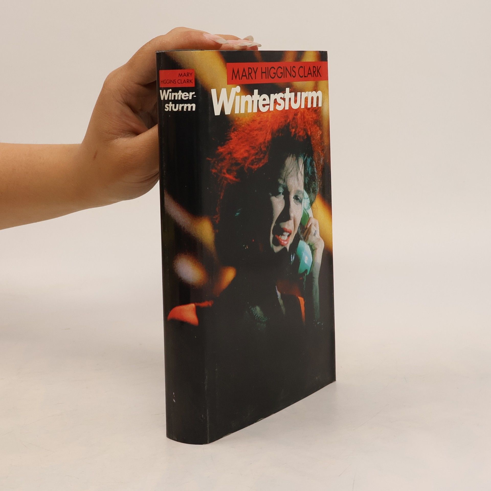 Mary Higgins Clark Wintersturm