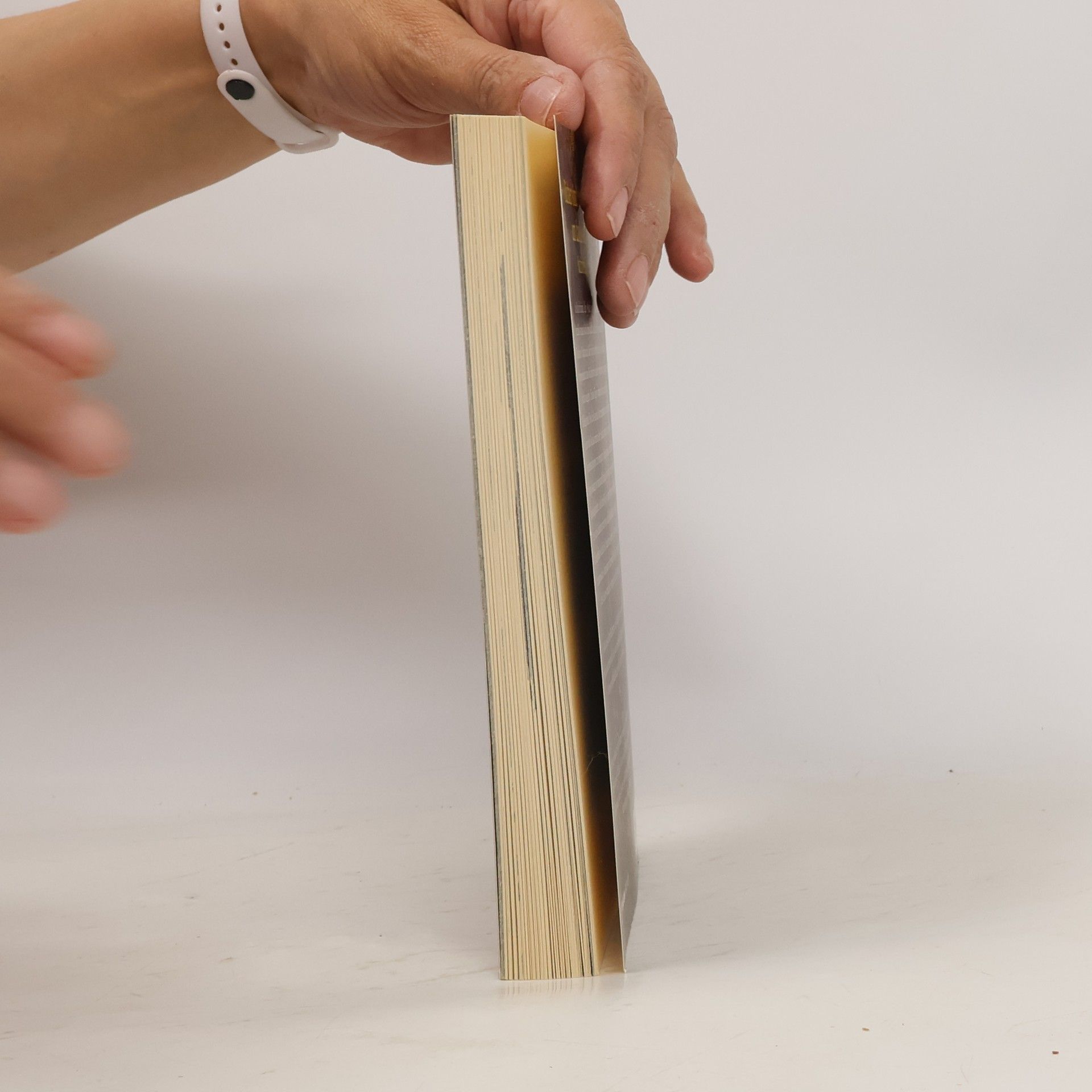 Walter Moers Der Bücherdrache