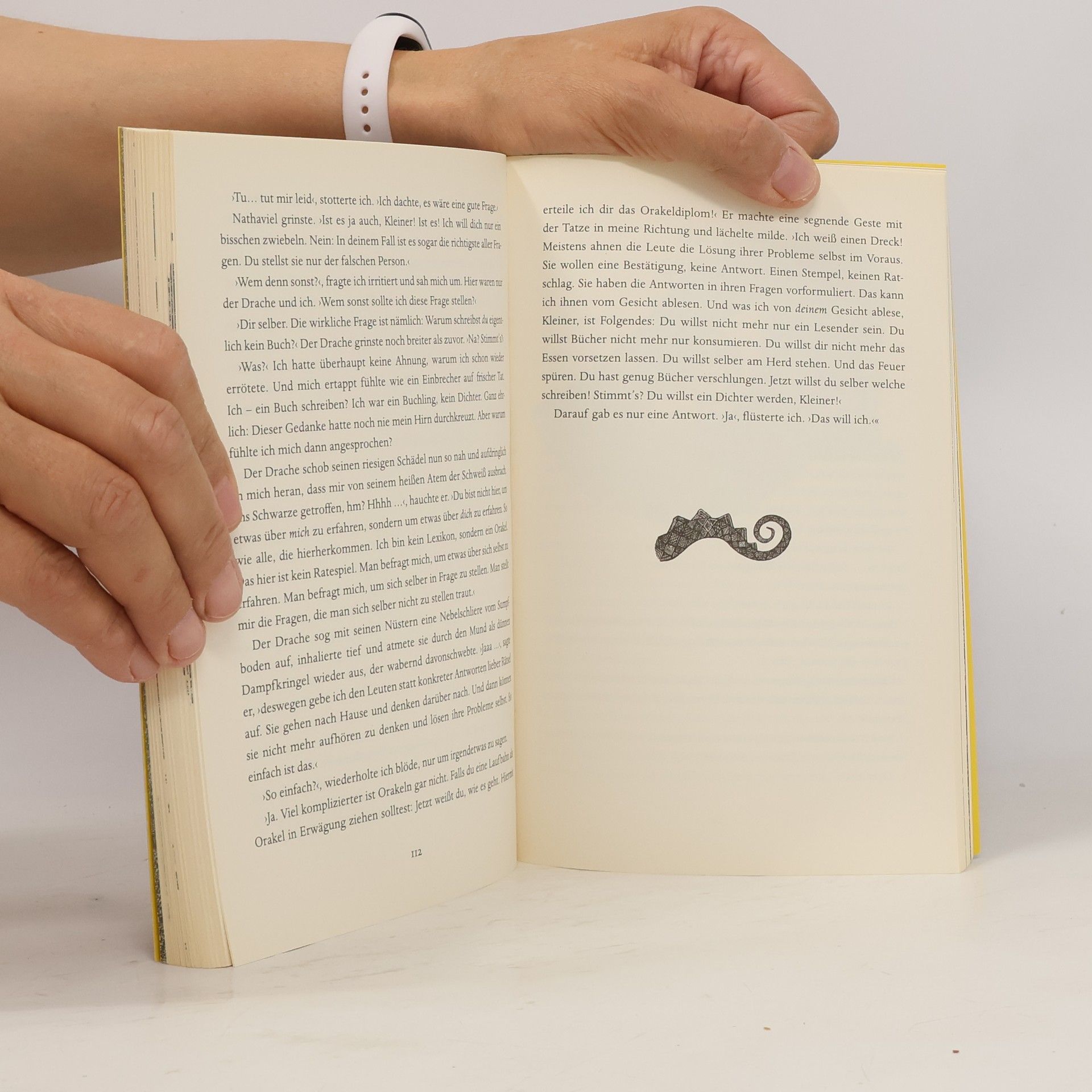 Walter Moers Der Bücherdrache