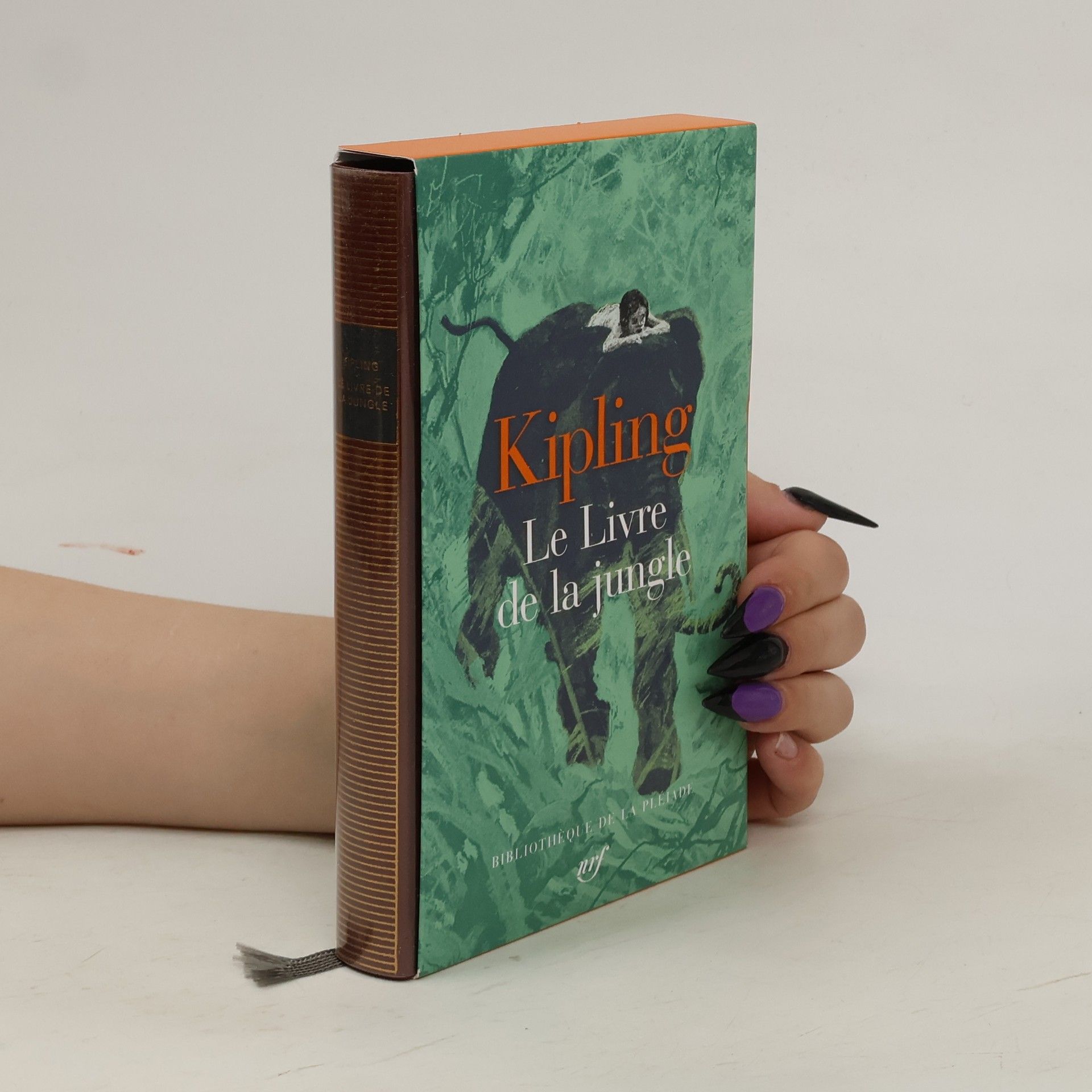 Le Livre de la jungle