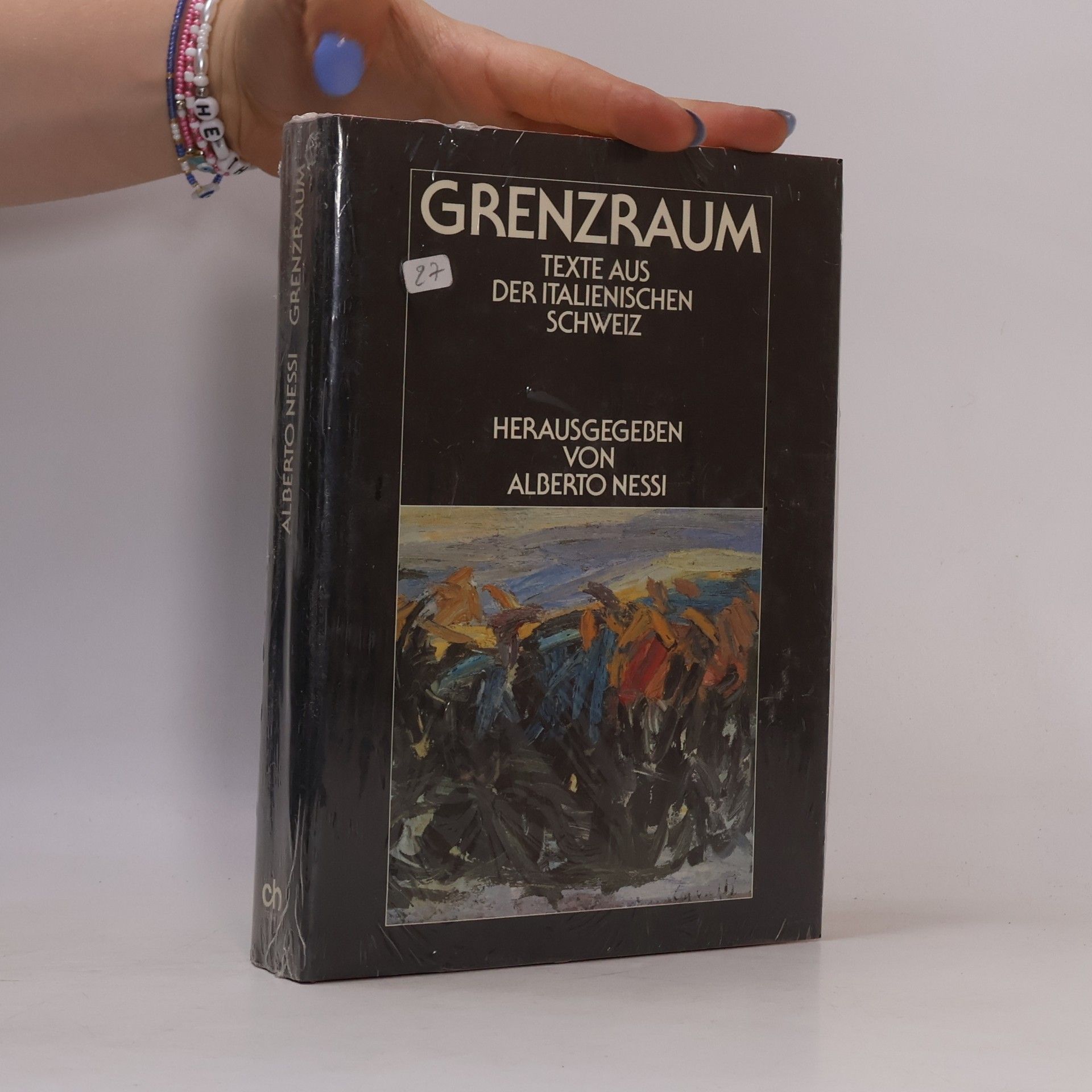 Alberto Nessi Grenzraum