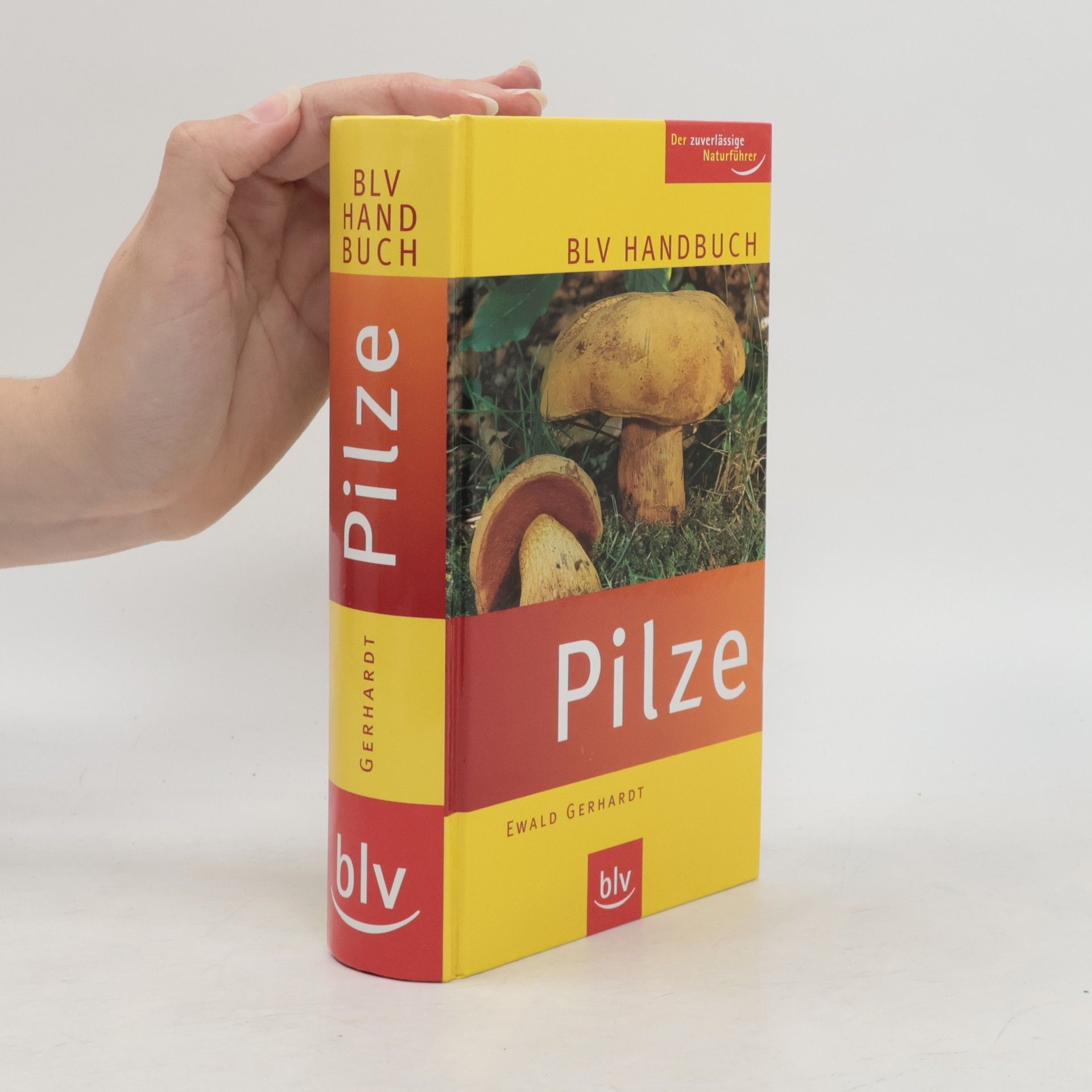 Ewald Gerhardt BLV-Handbuch Pilze