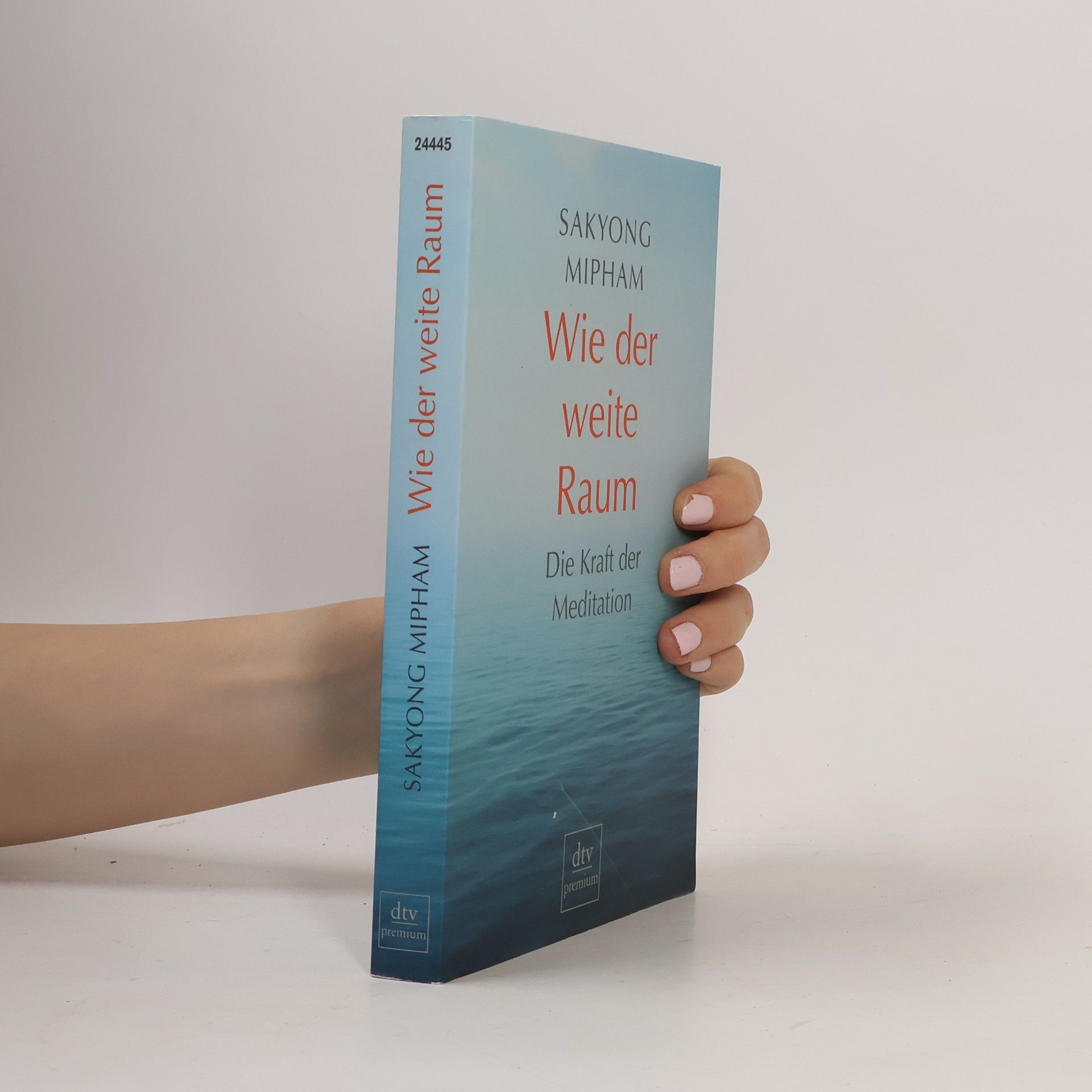 Sakyong Mipham Wie der weite Raum. Die Kraft der Meditation