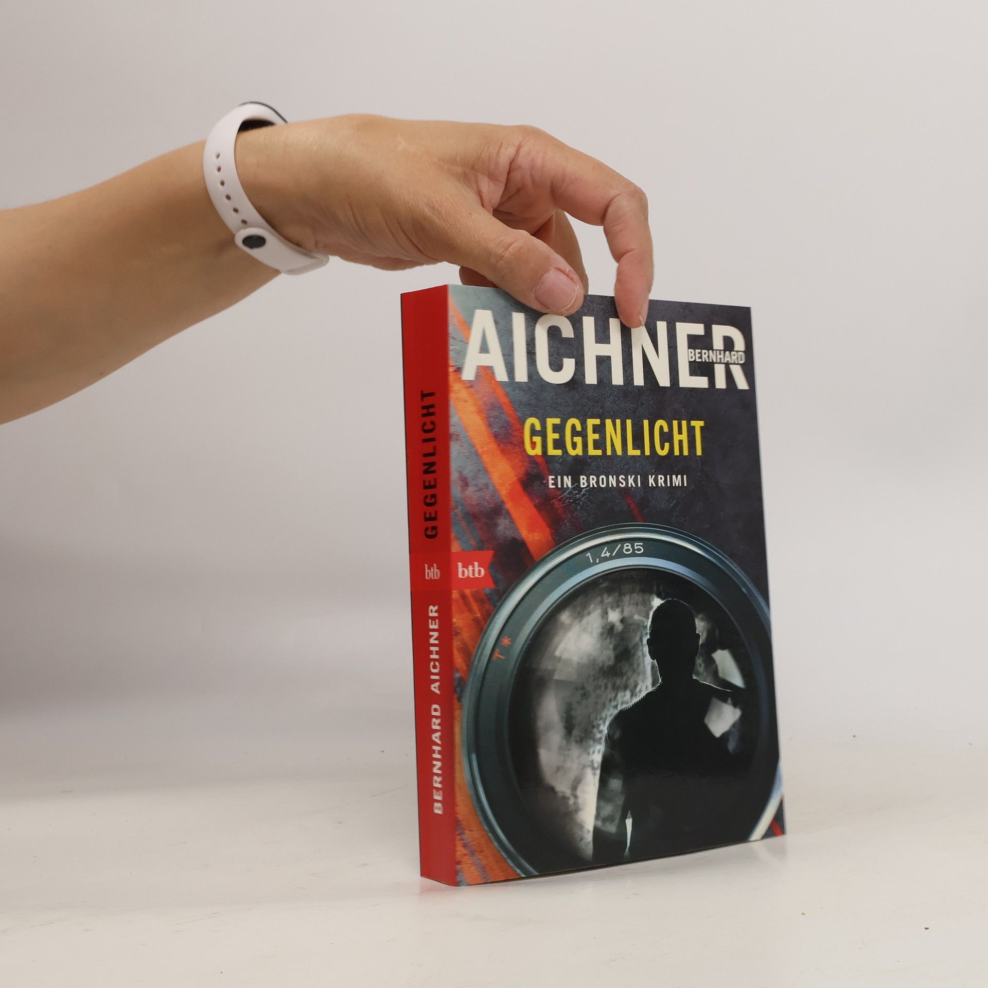 Bernhard Aichner Gegenlicht