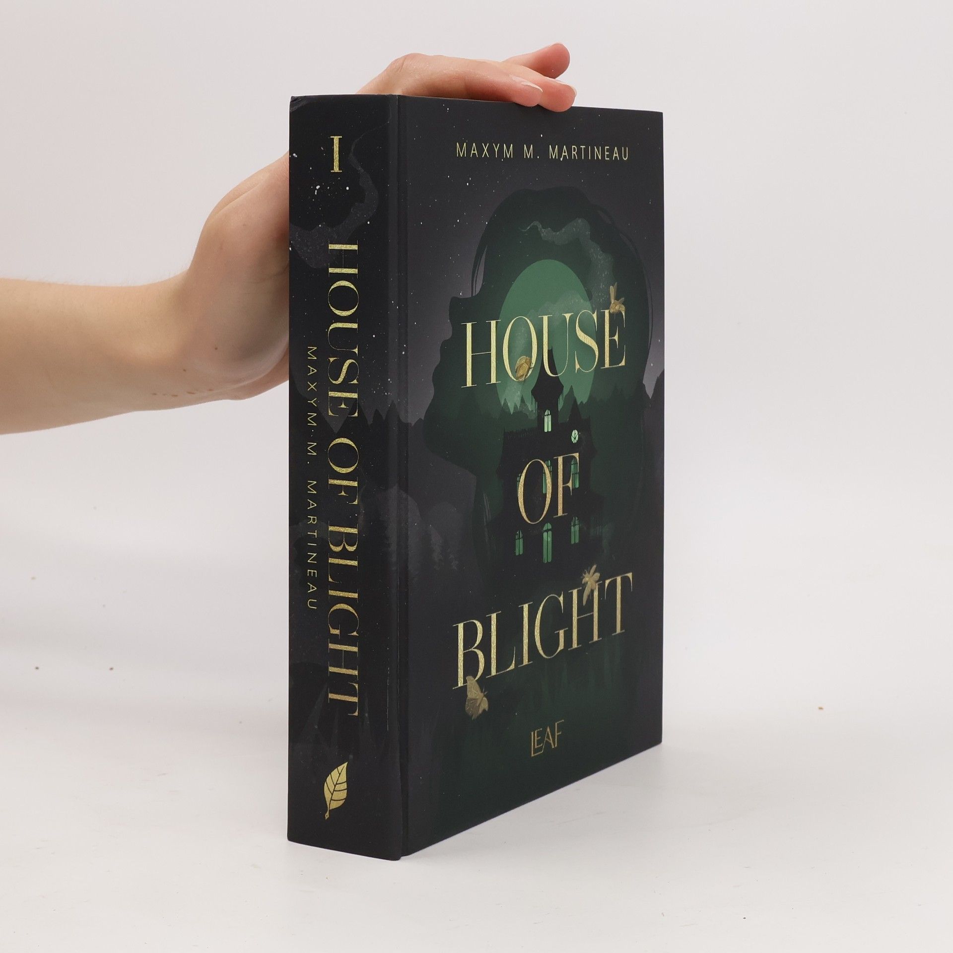 Die Threadmender Chroniken - 1: House of Blight
