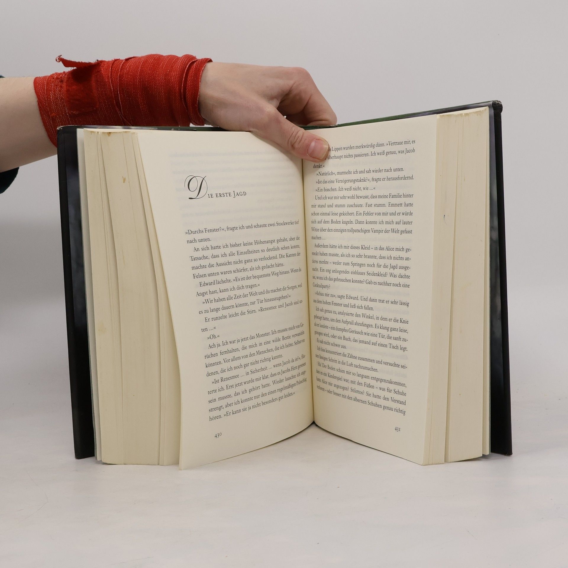 Stephenie Meyer Biss zum Ende der Nacht