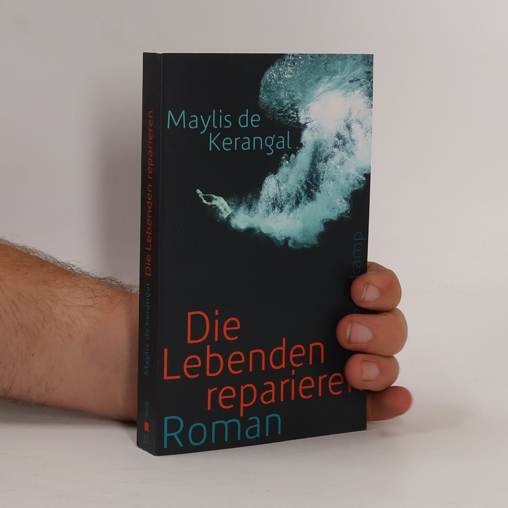 Maylis de Kerangal Die Lebenden reparieren