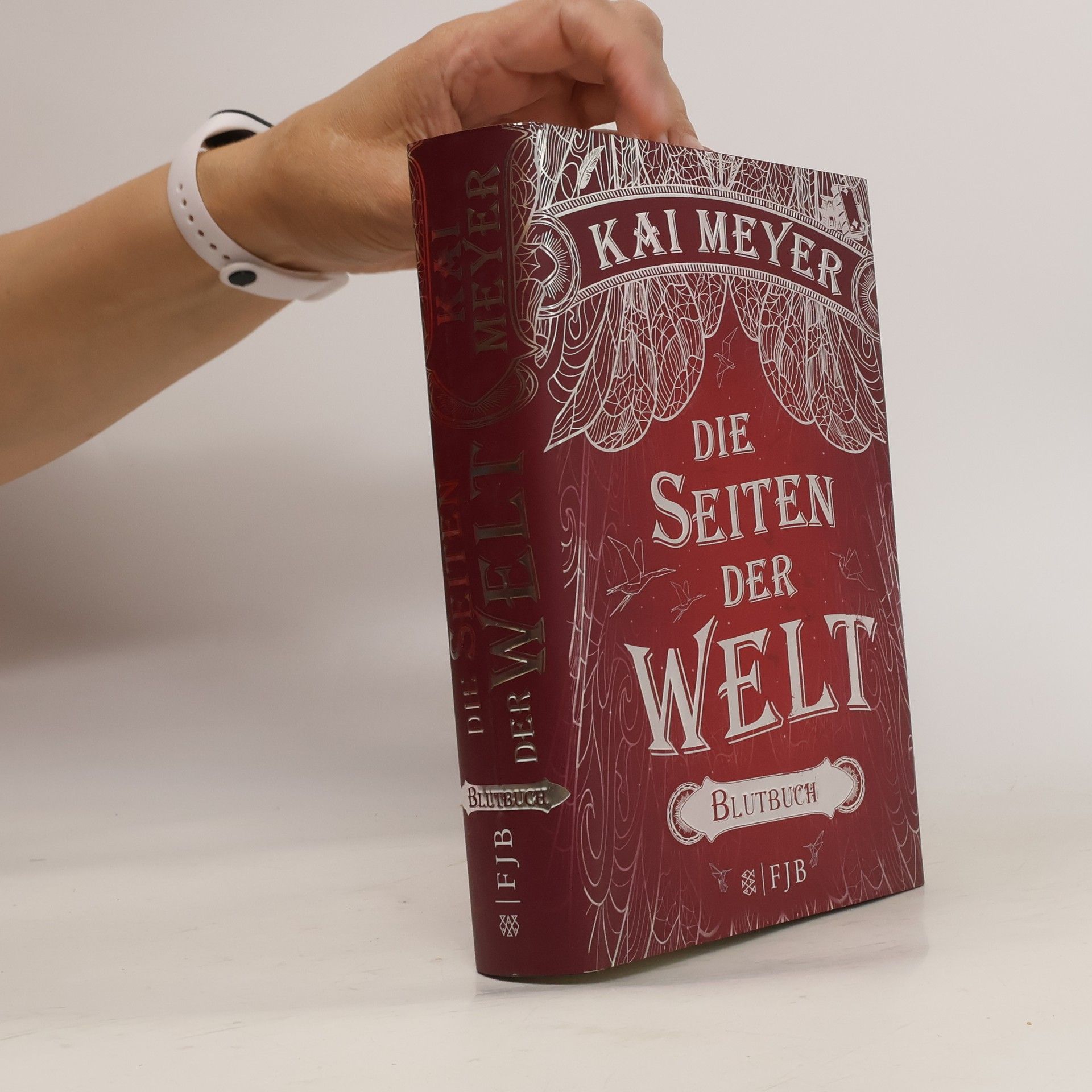 Kai Meyer Die Seiten der Welt - Blutbuch