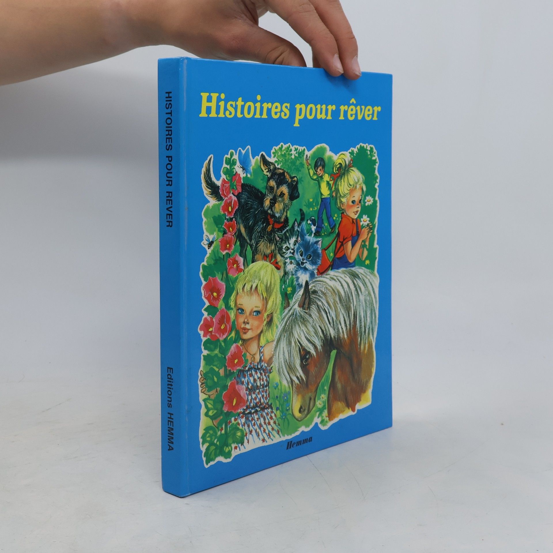 Kolektiv autorů Histoires pour rêver