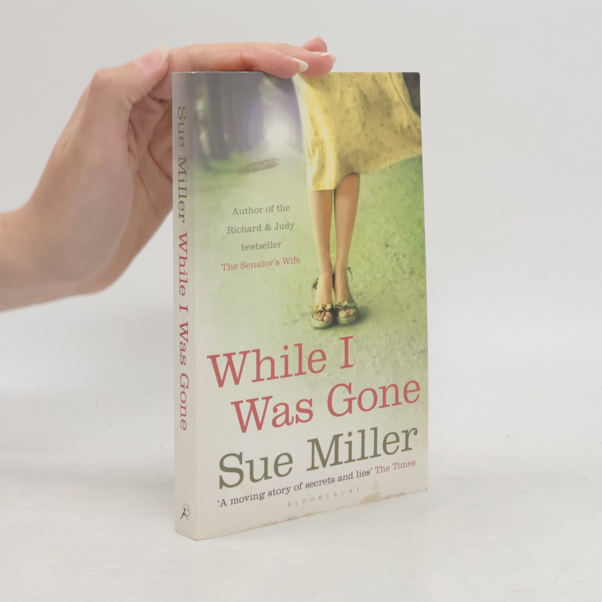 Sue Miller While I Was Gone
