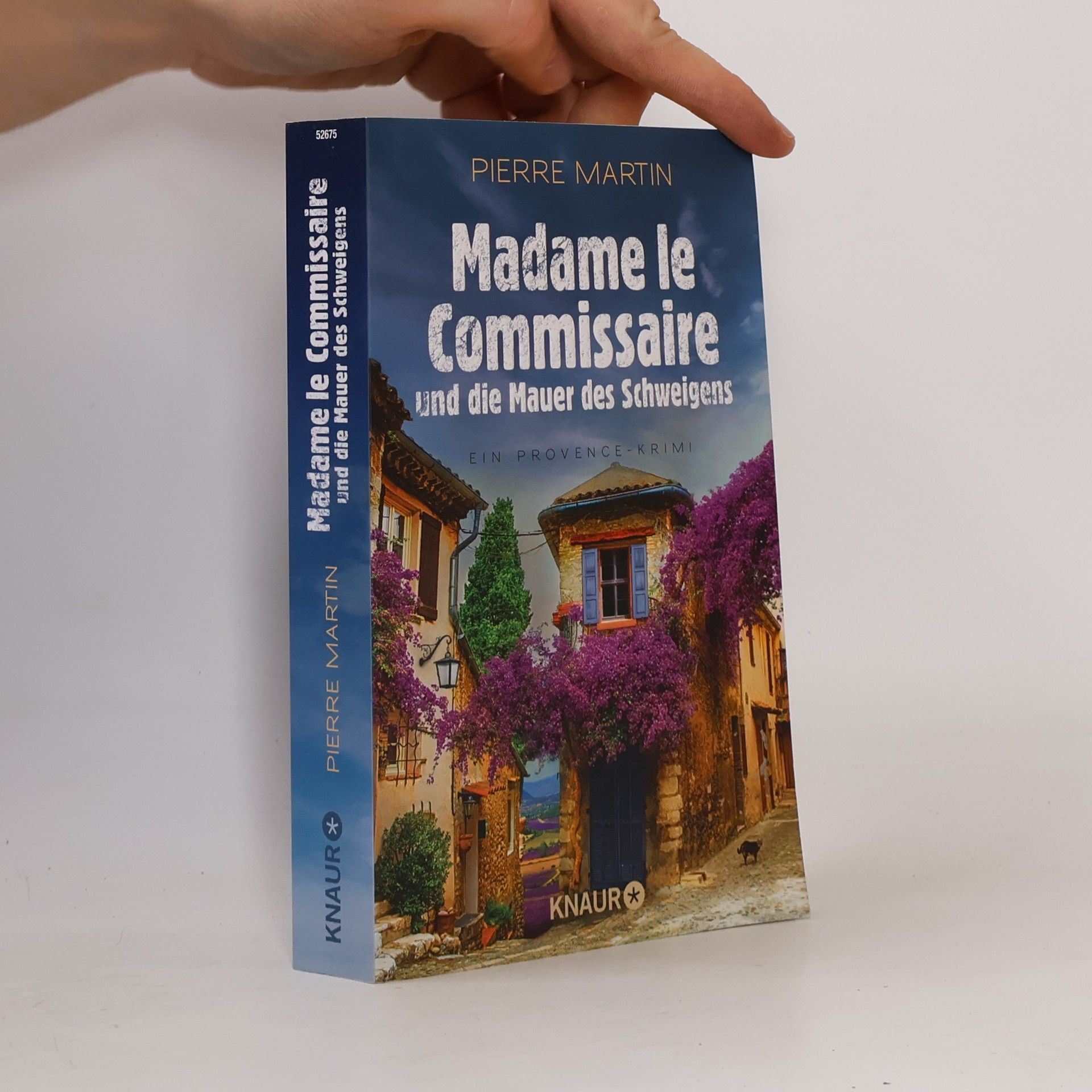 Pierre Martin Madame le Commissaire und die Mauer des Schweigens