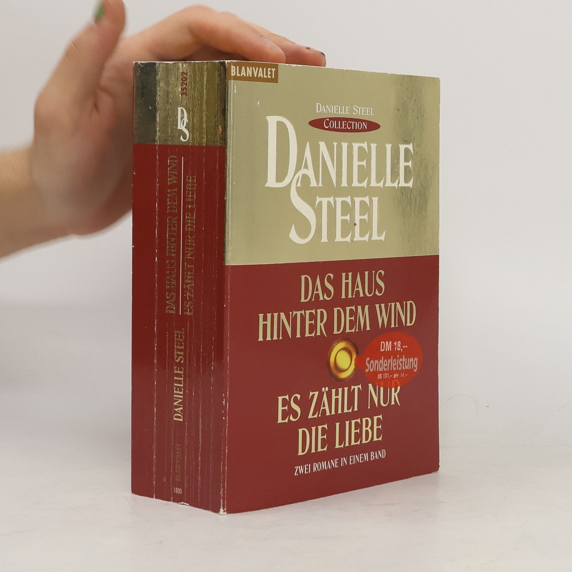 Danielle Steel Das Haus hinter dem Wind. Es Zählt nur die Liebe