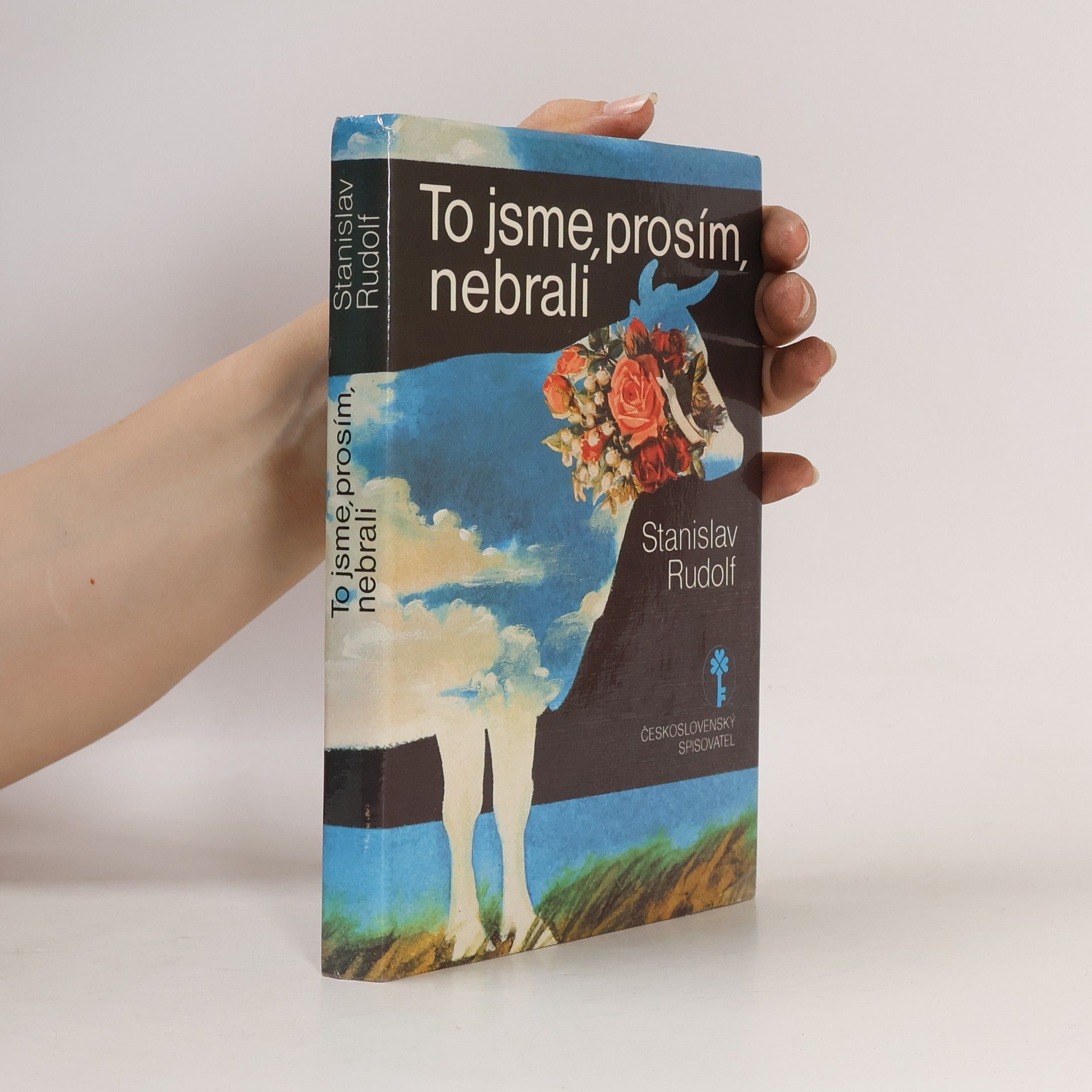 To jsme, prosím, nebrali