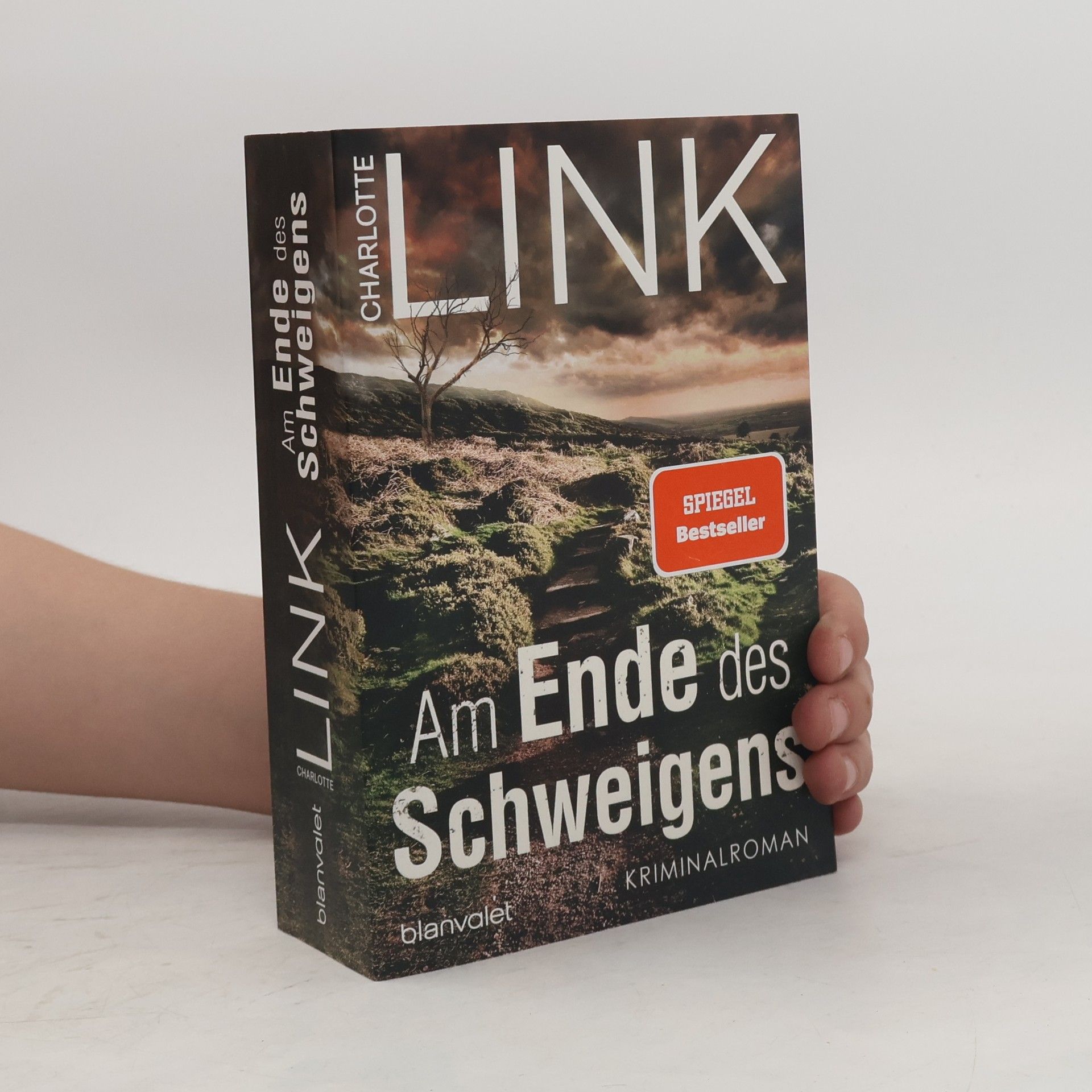 Charlotte Link Am Ende des Schweigens