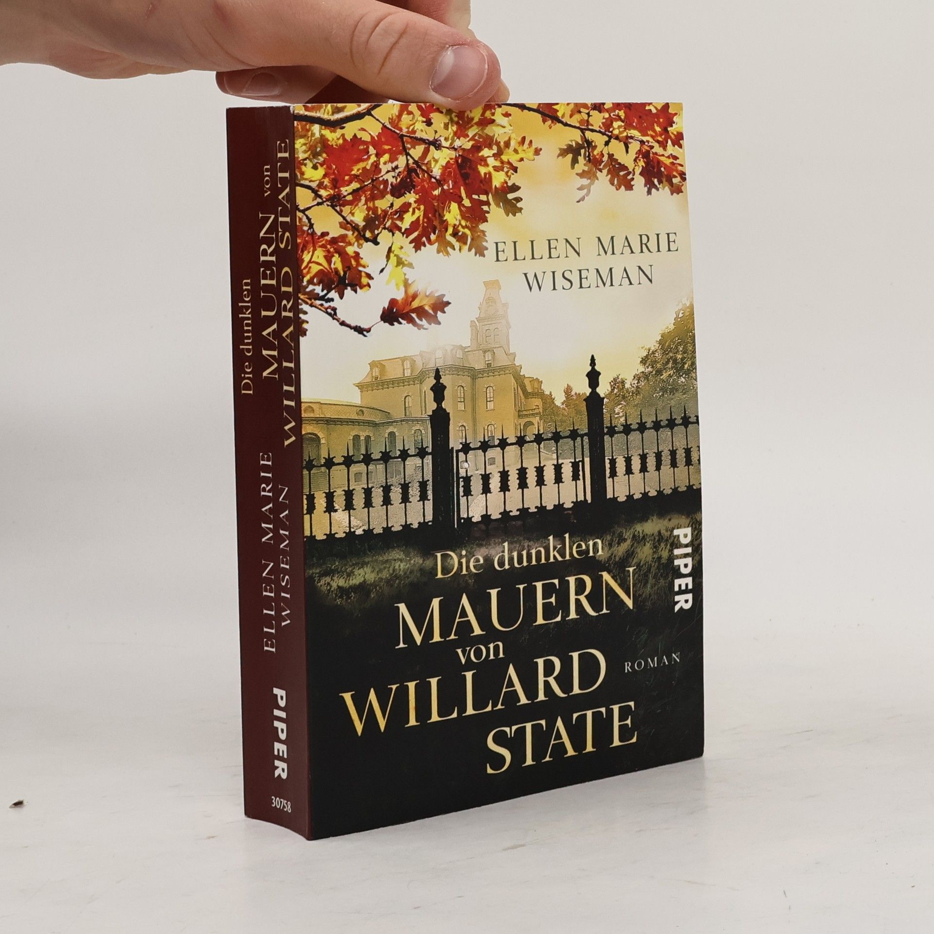 Ellen Marie Wiseman Die dunklen Mauern von Willard State