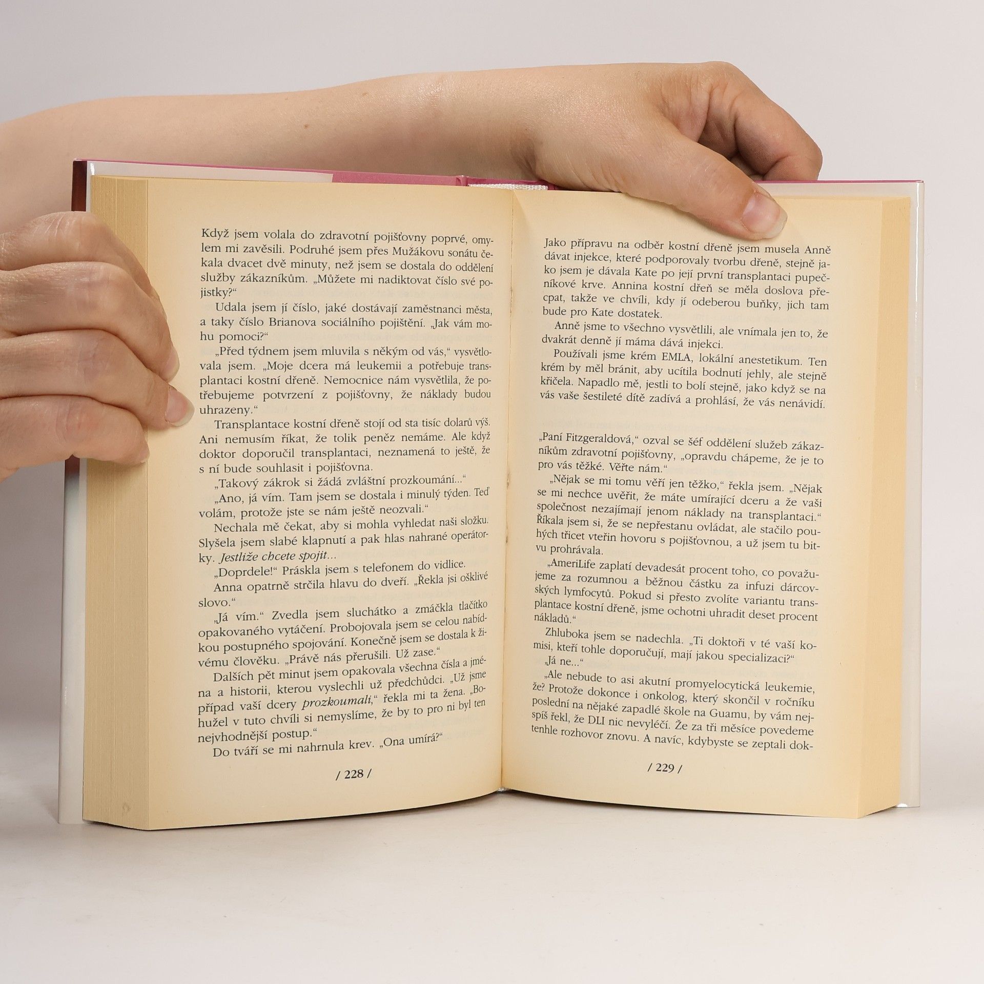 Jodi Picoult Je to i můj život