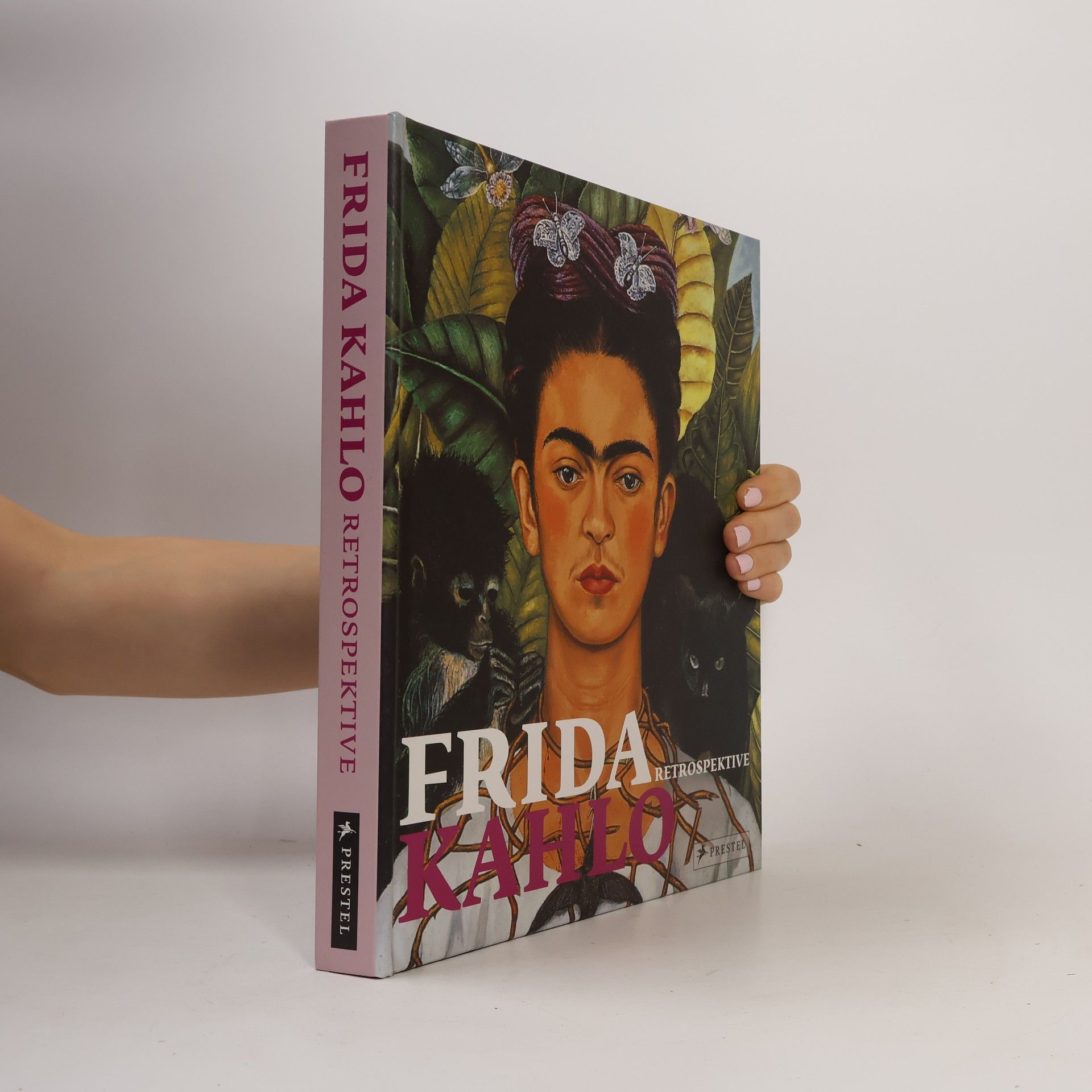 Collectif d'auteurs Frida Kahlo. Retrospektive